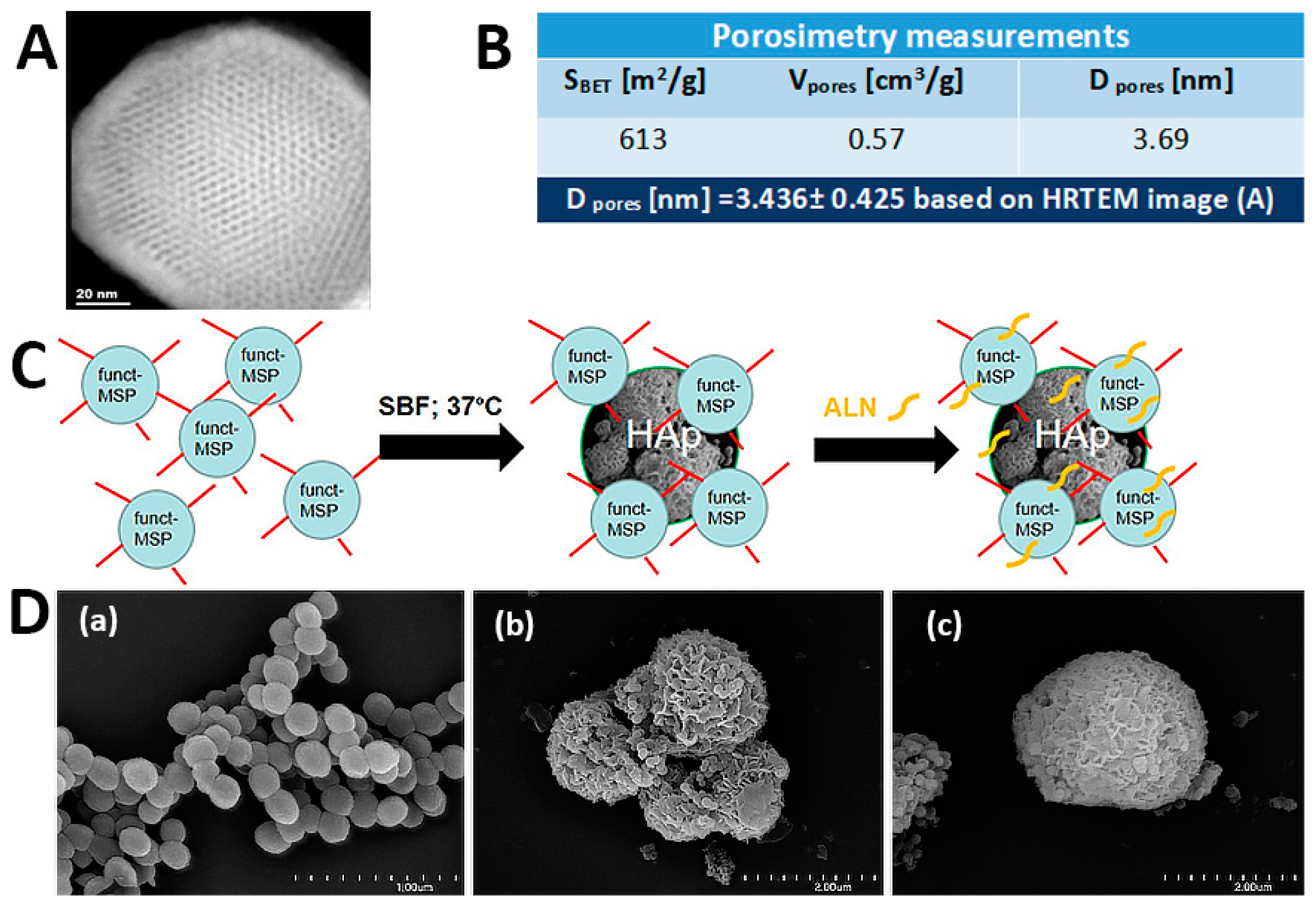 Ijms 24 04959 g001 Ijms 24 04959 g001
