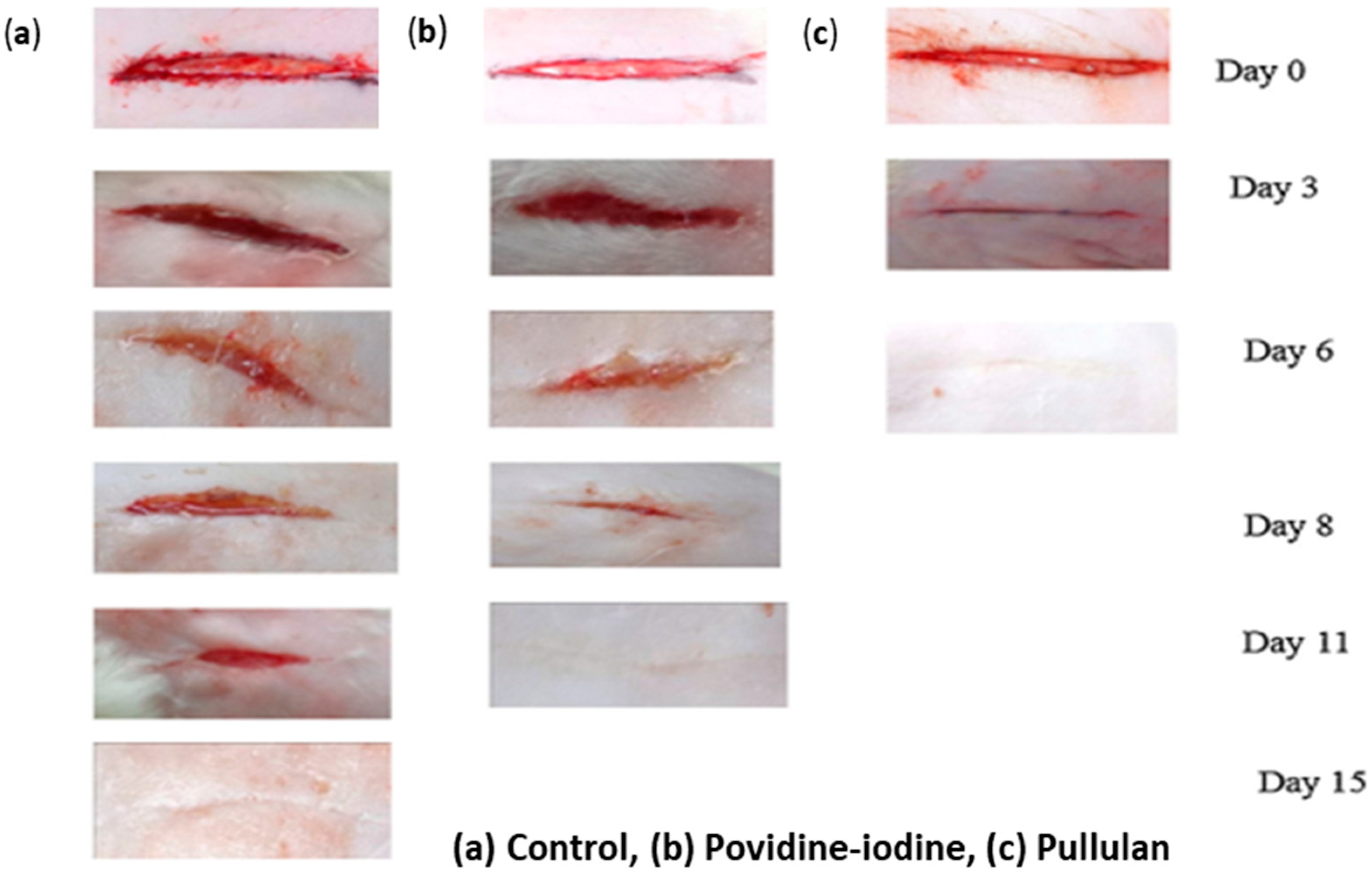 Ijms 24 04962 g007 Ijms 24 04962 g007