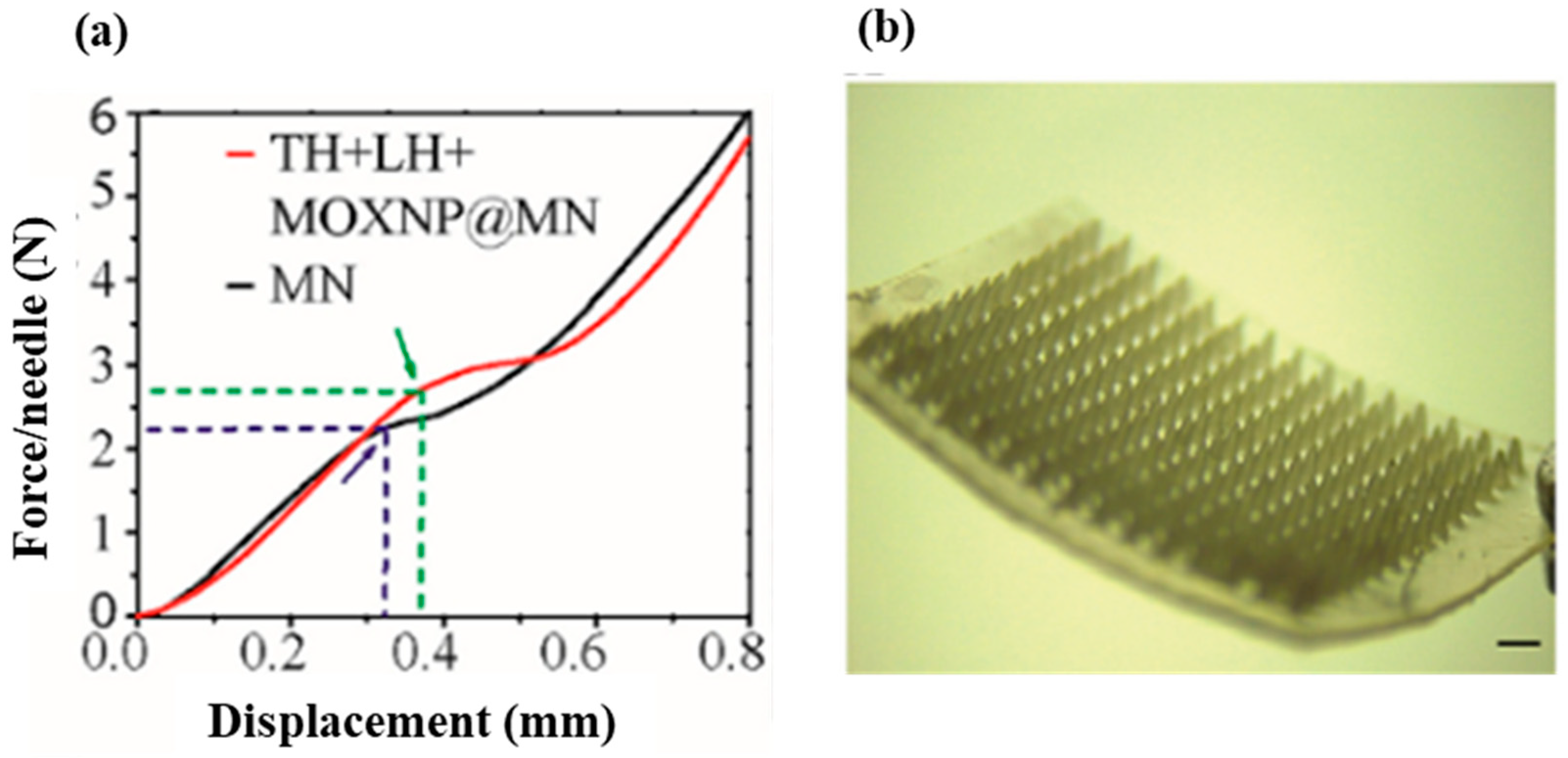 Ijms 24 04962 g009 Ijms 24 04962 g009