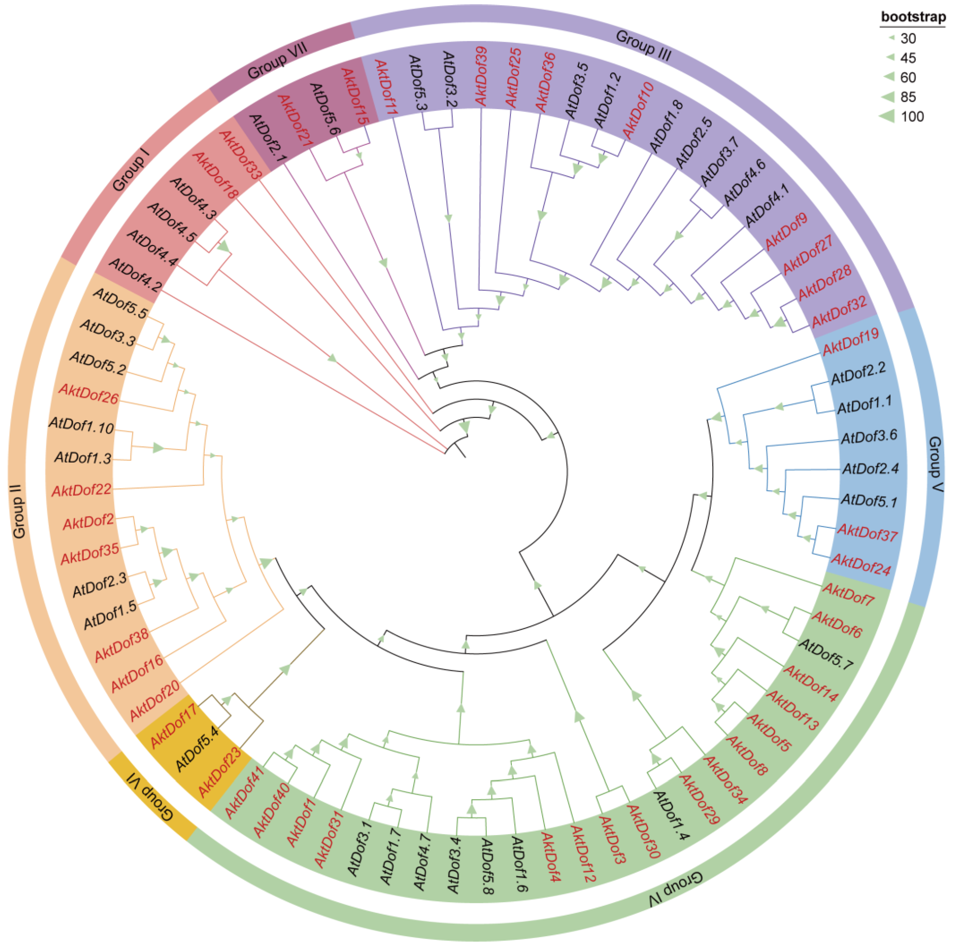 Ijms 24 04973 g001 Ijms 24 04973 g001