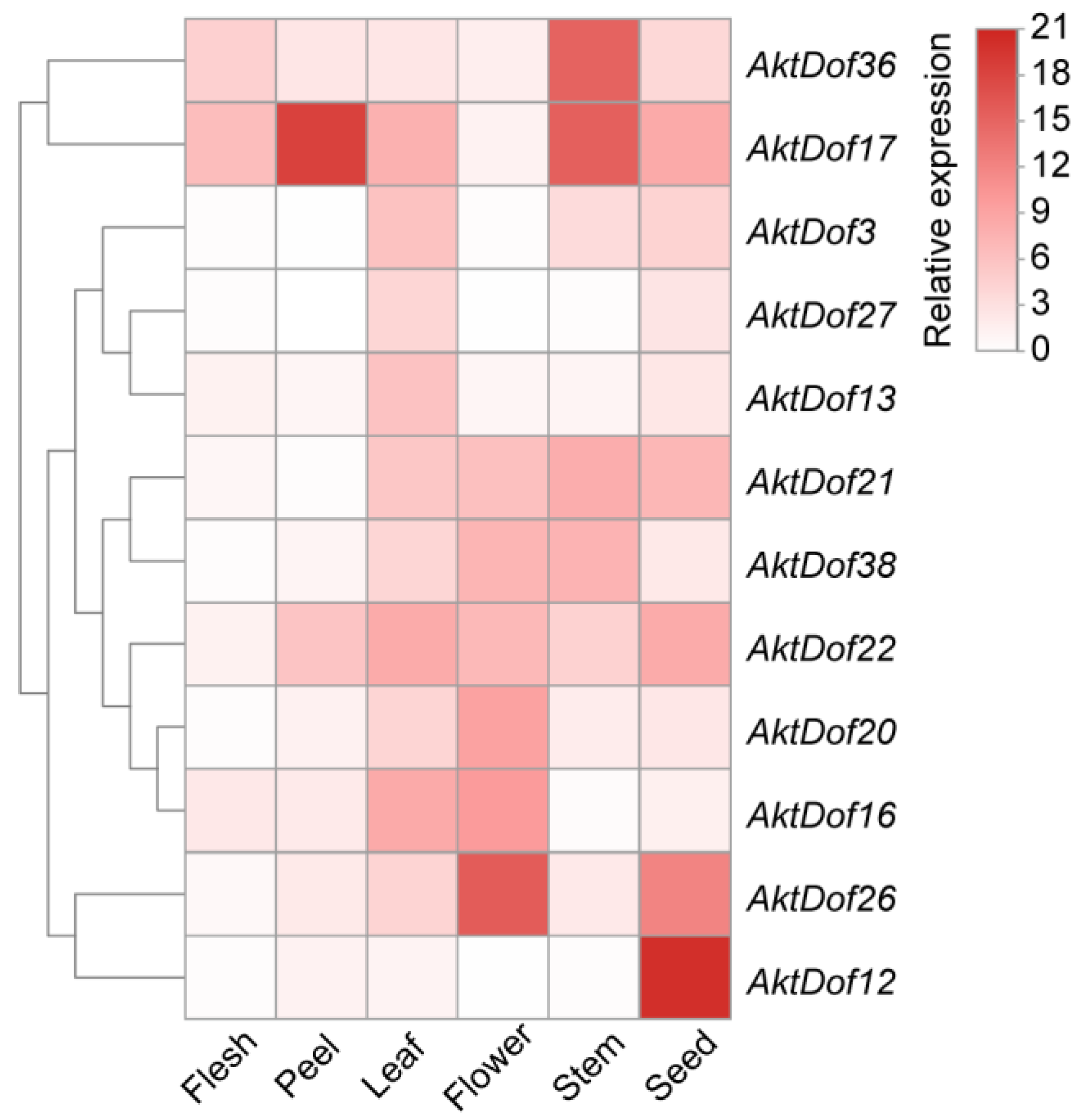 Ijms 24 04973 g004 Ijms 24 04973 g004