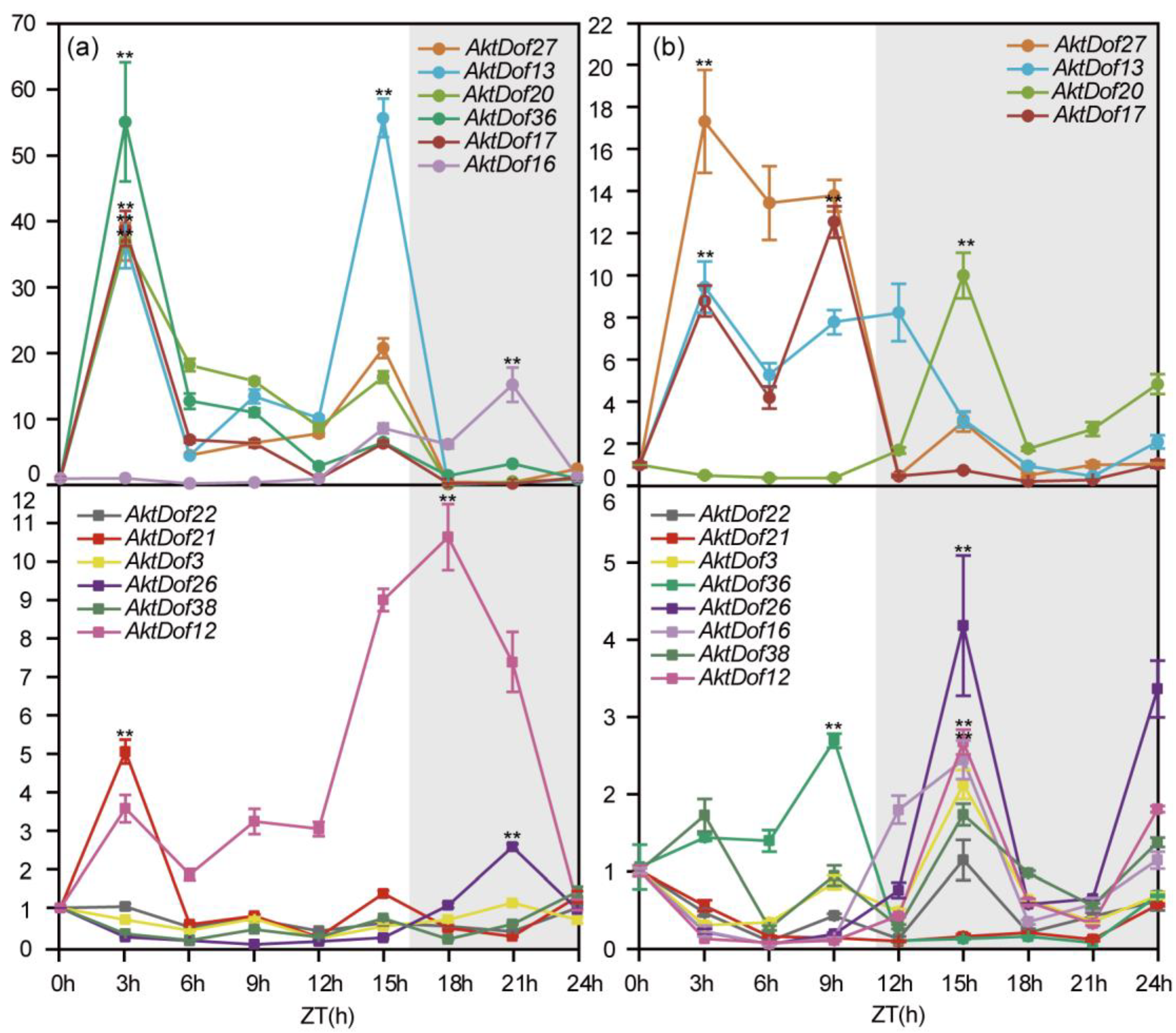 Ijms 24 04973 g006 Ijms 24 04973 g006