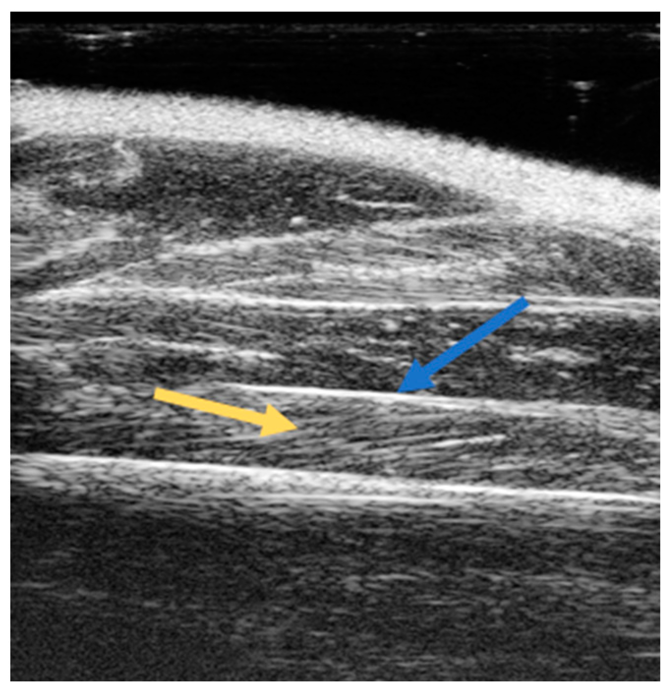 Ijms 24 04976 g001 Ijms 24 04976 g001