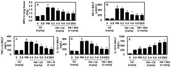 independent Lサイズ Eupatilin inhibits the proliferation of human esophageal
