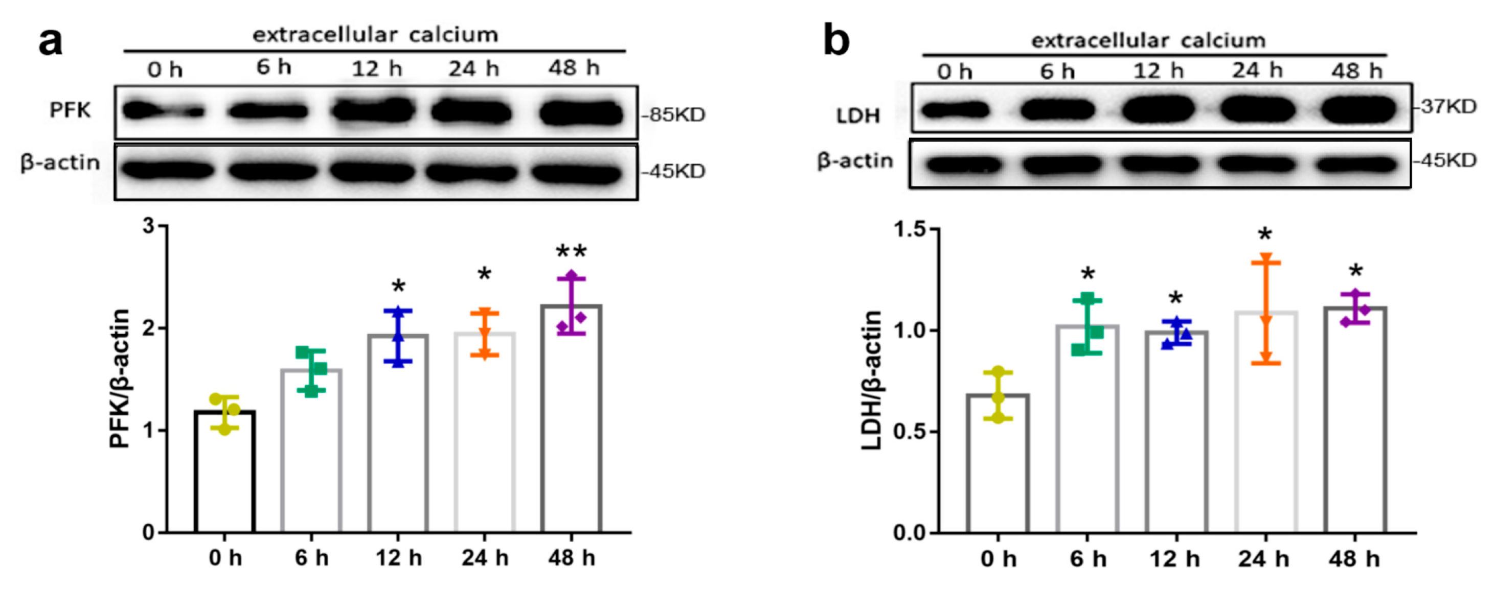 Ijms 24 04991 g004 Ijms 24 04991 g004