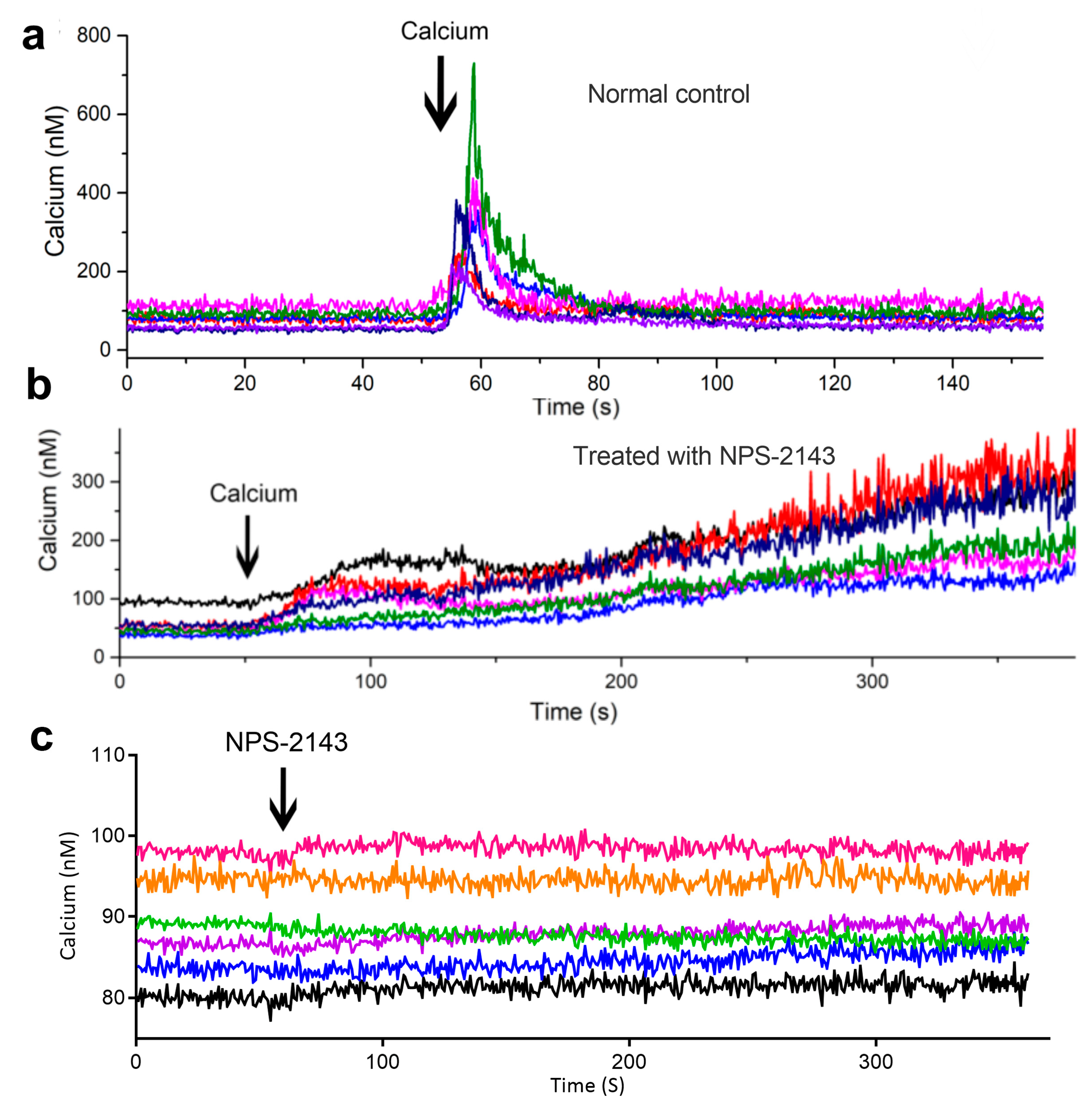 Ijms 24 04991 g006 Ijms 24 04991 g006