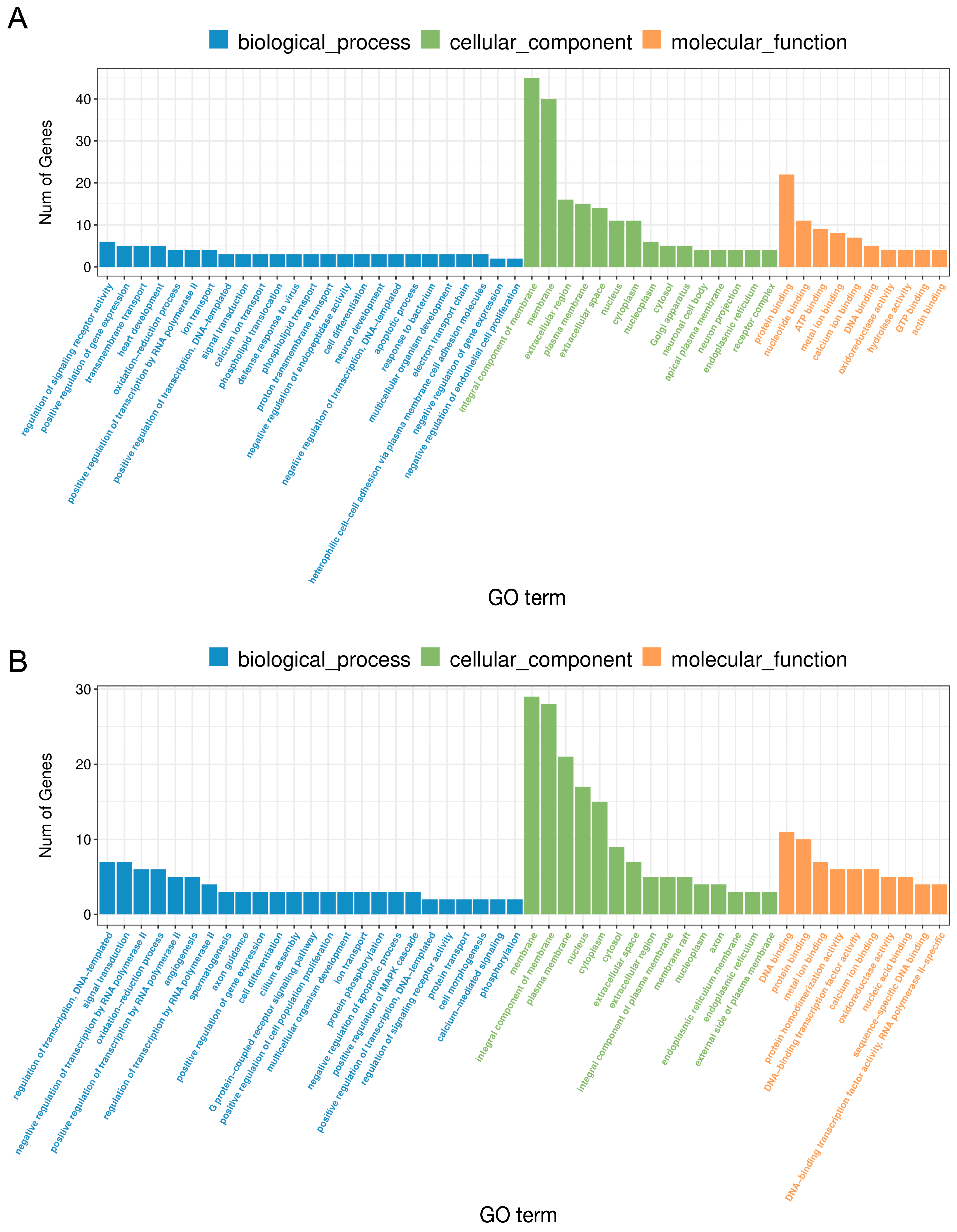Ijms 24 04993 g004 Ijms 24 04993 g004