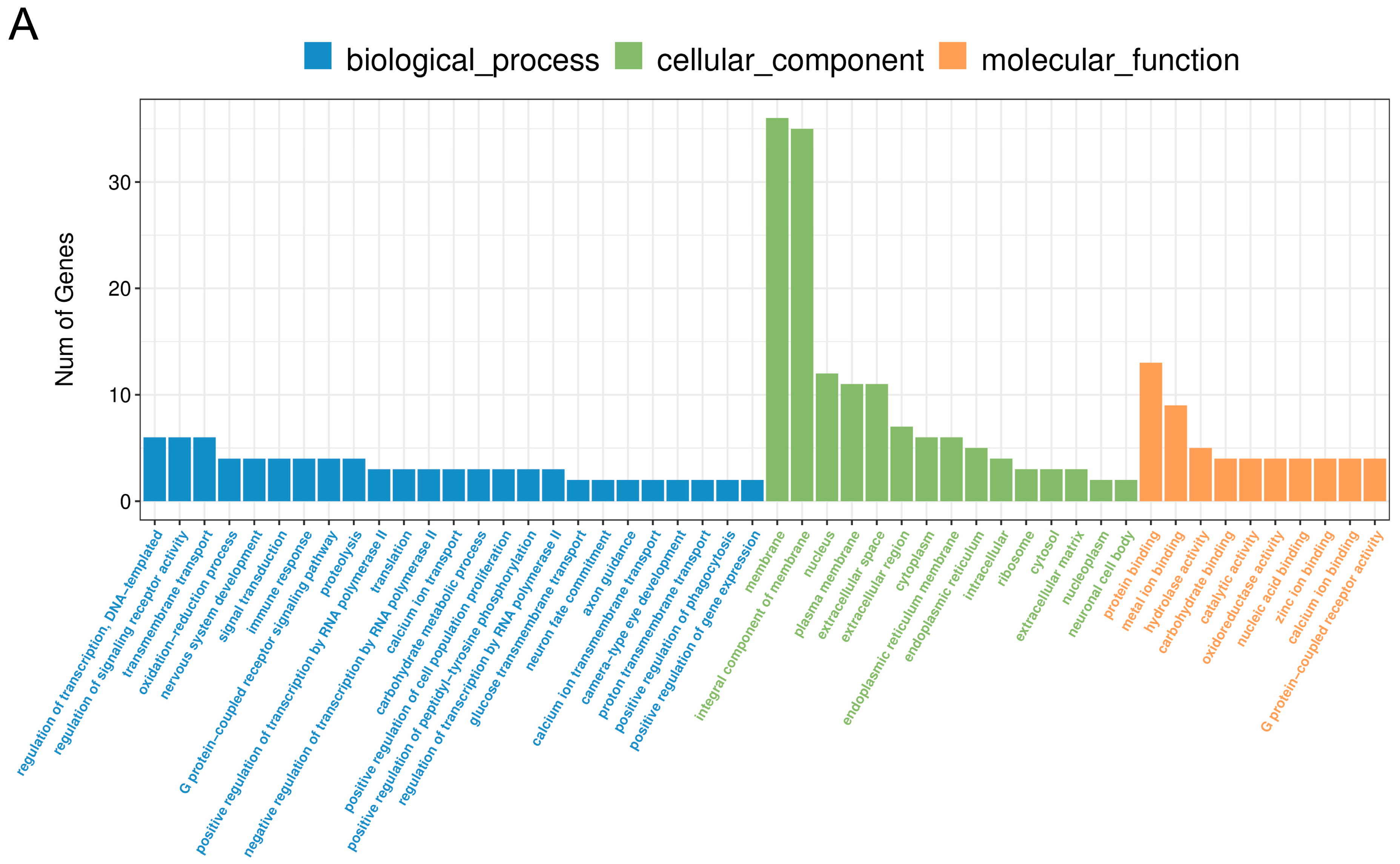 Ijms 24 04993 g005a Ijms 24 04993 g005a