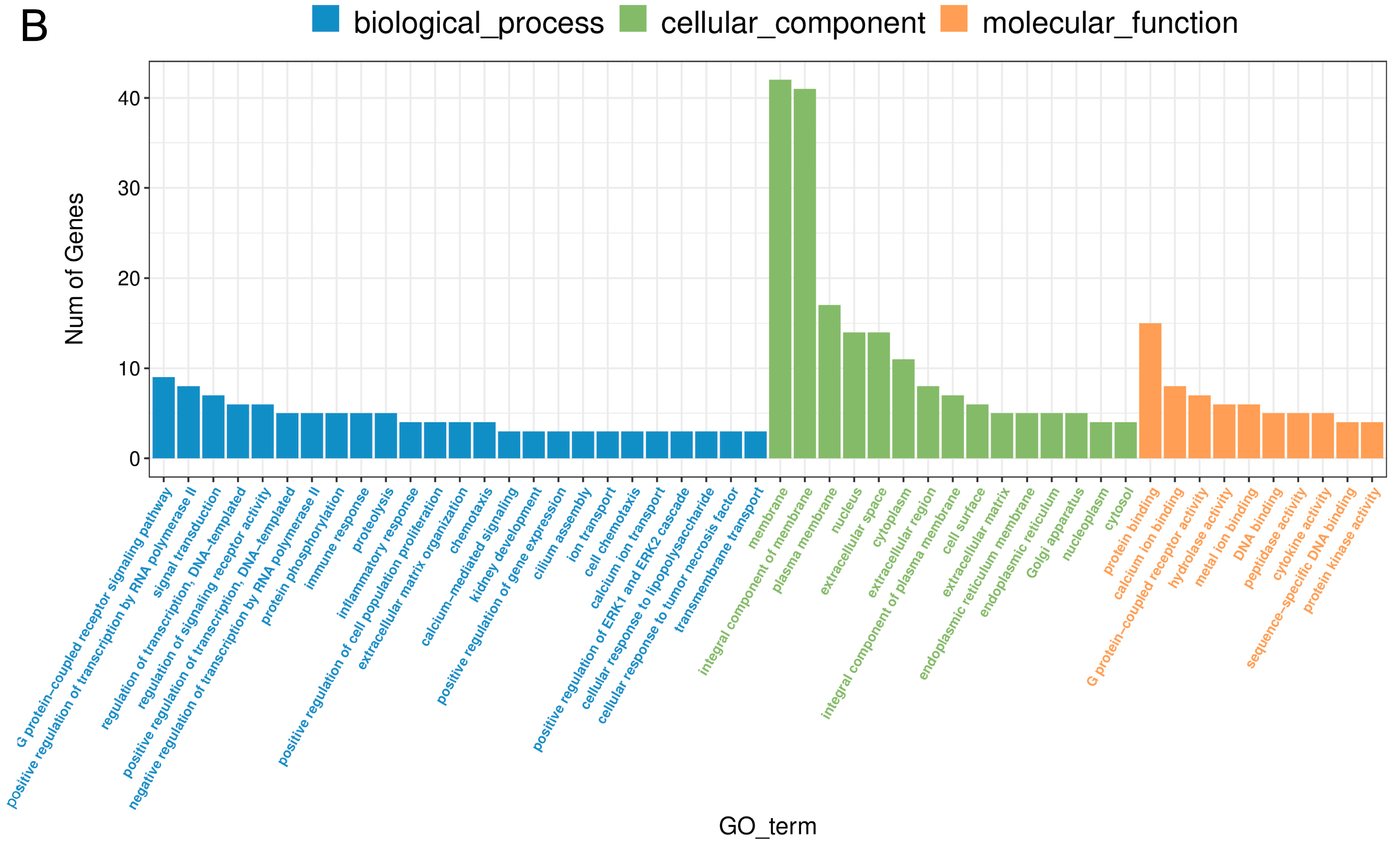 Ijms 24 04993 g005b Ijms 24 04993 g005b