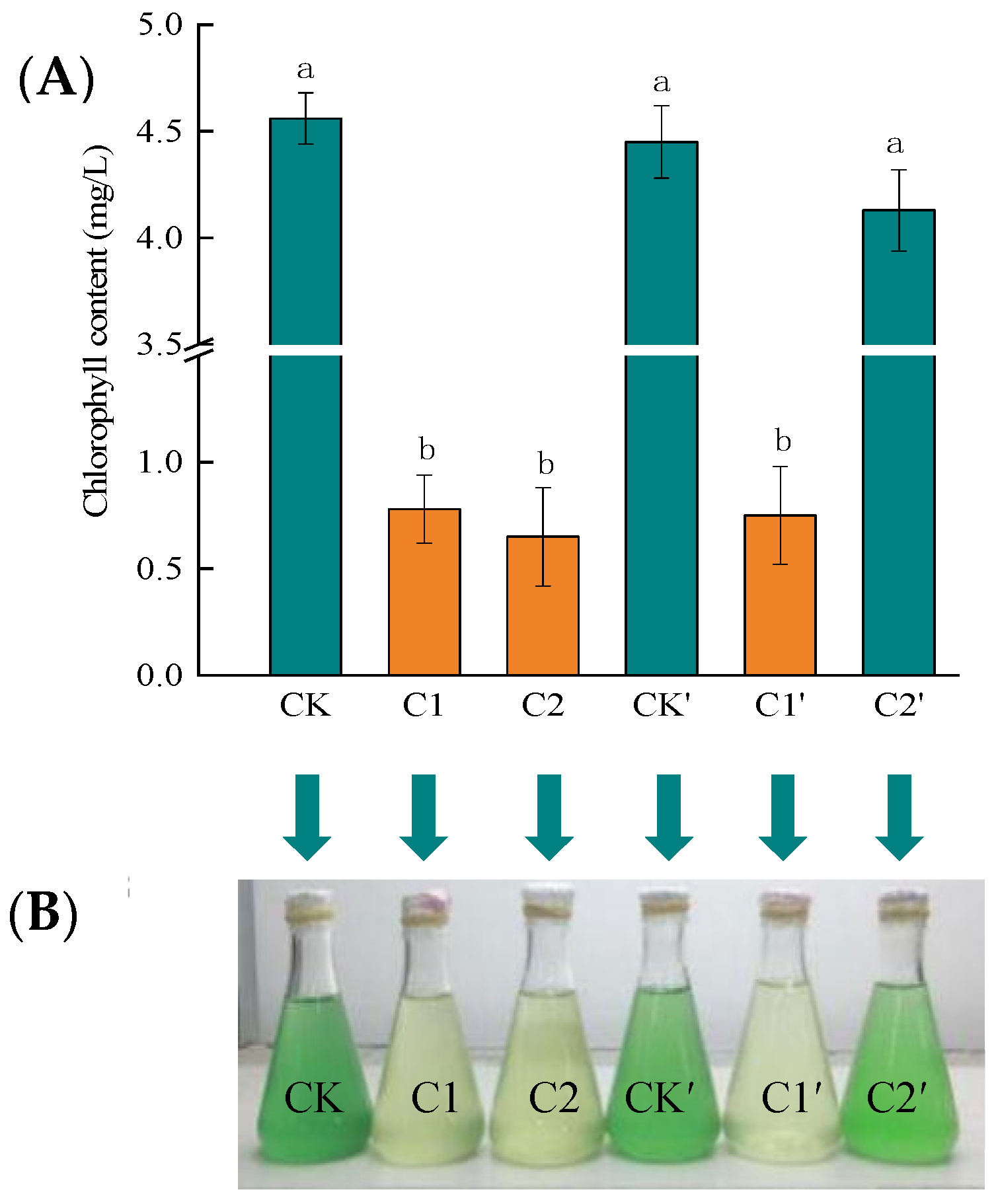 Ijms 24 05009 g006 Ijms 24 05009 g006