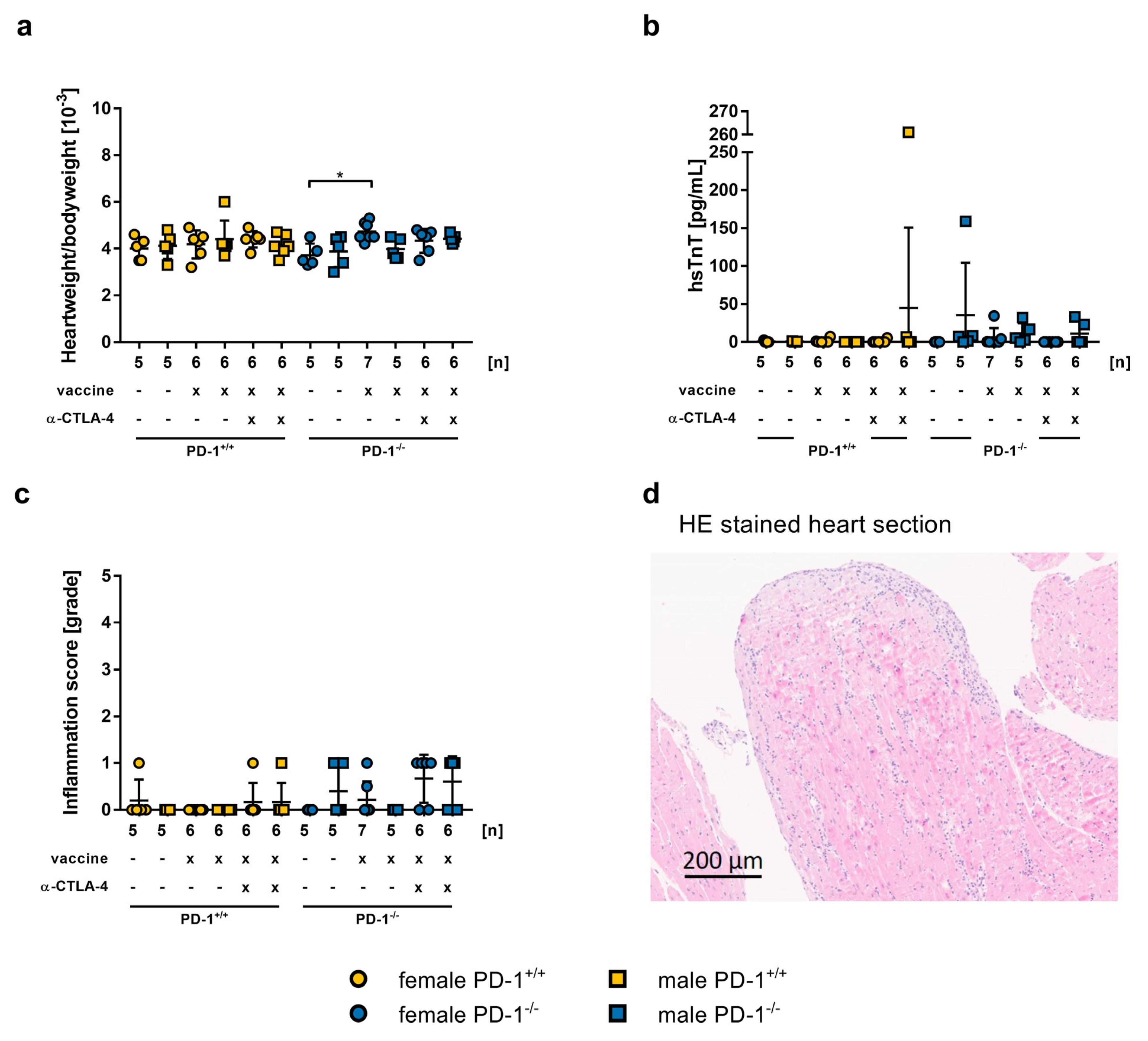 Ijms 24 05011 g006 Ijms 24 05011 g006