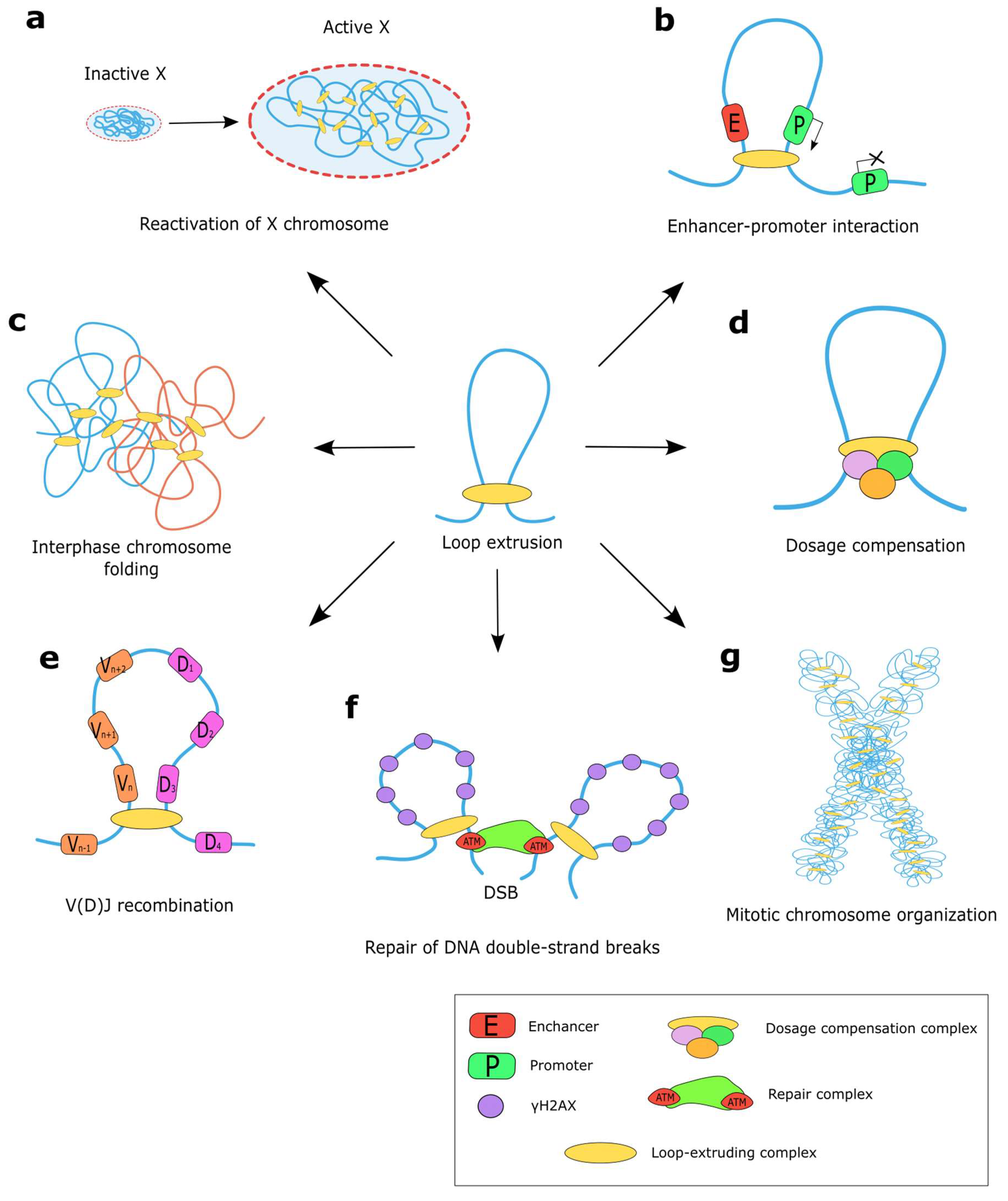 Ijms 24 05017 g003 Ijms 24 05017 g003
