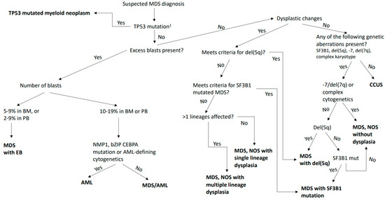 Understanding the Continuum between High-Risk Myelodysplastic Syndrome ...