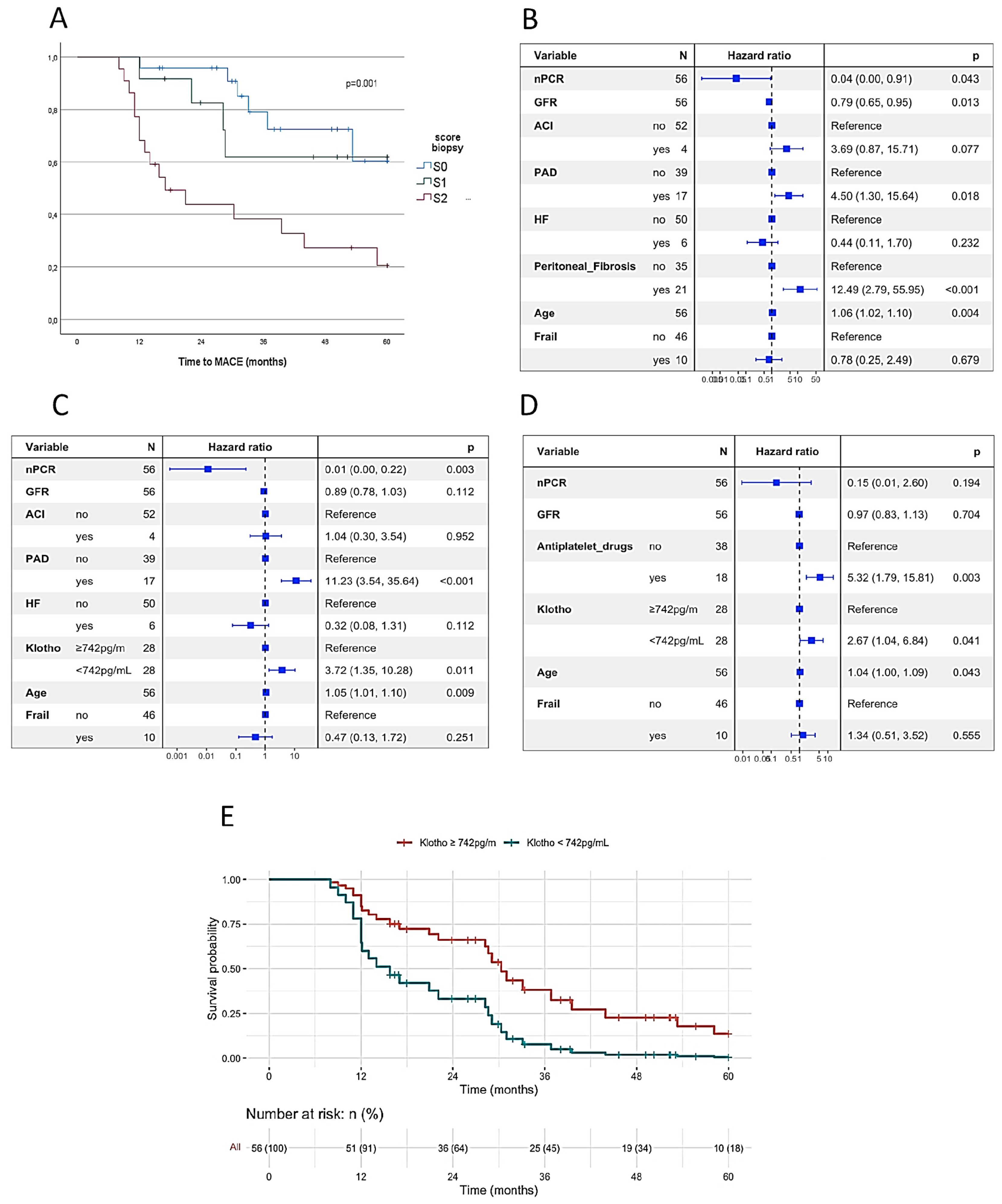 Ijms 24 05020 g002 Ijms 24 05020 g002