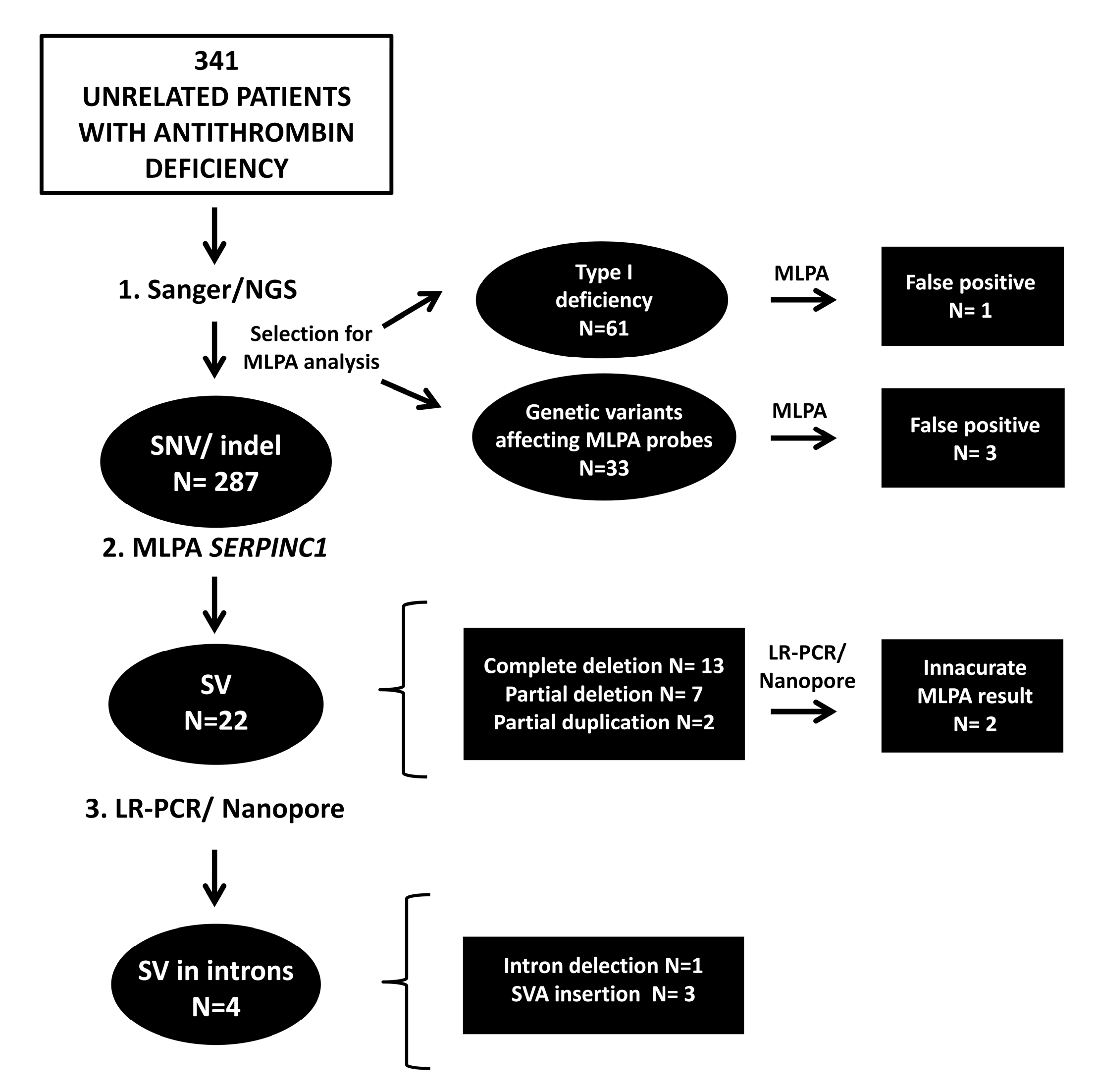 Ijms 24 05023 g001 Ijms 24 05023 g001