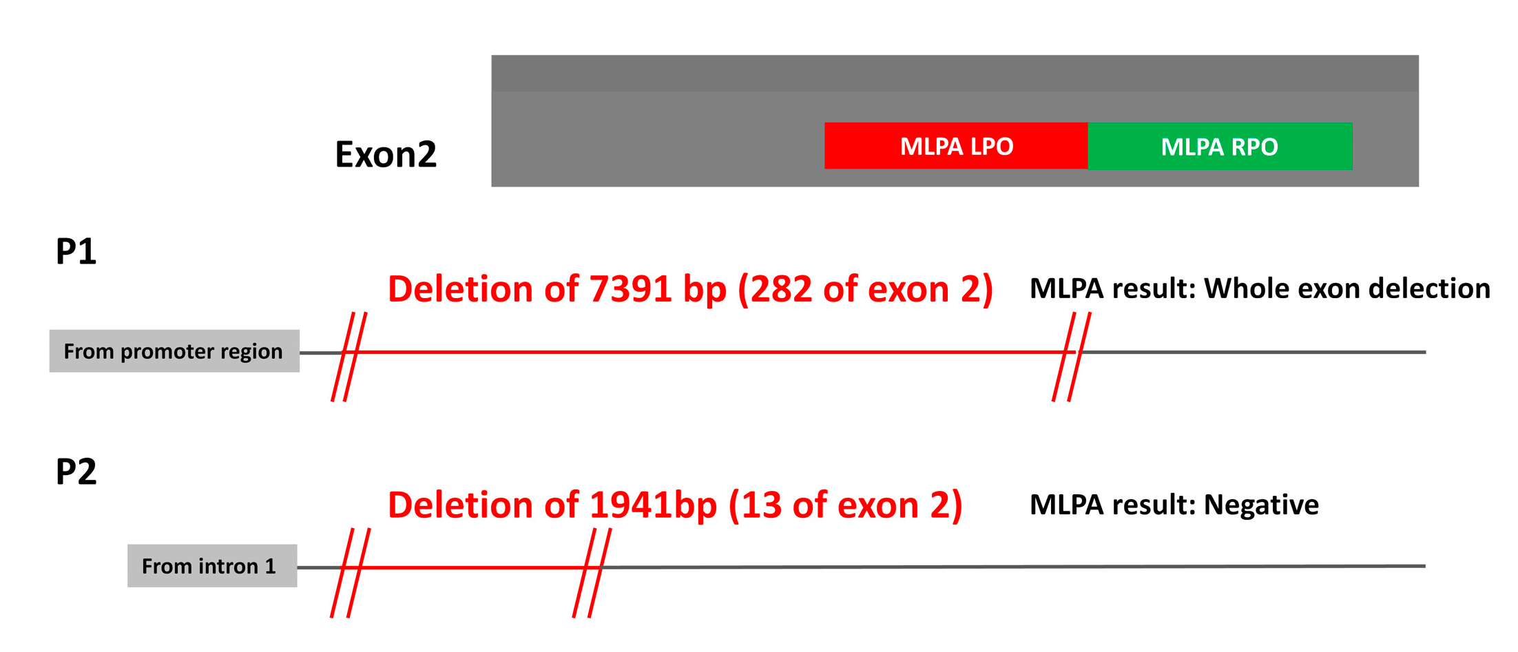 Ijms 24 05023 g002 Ijms 24 05023 g002