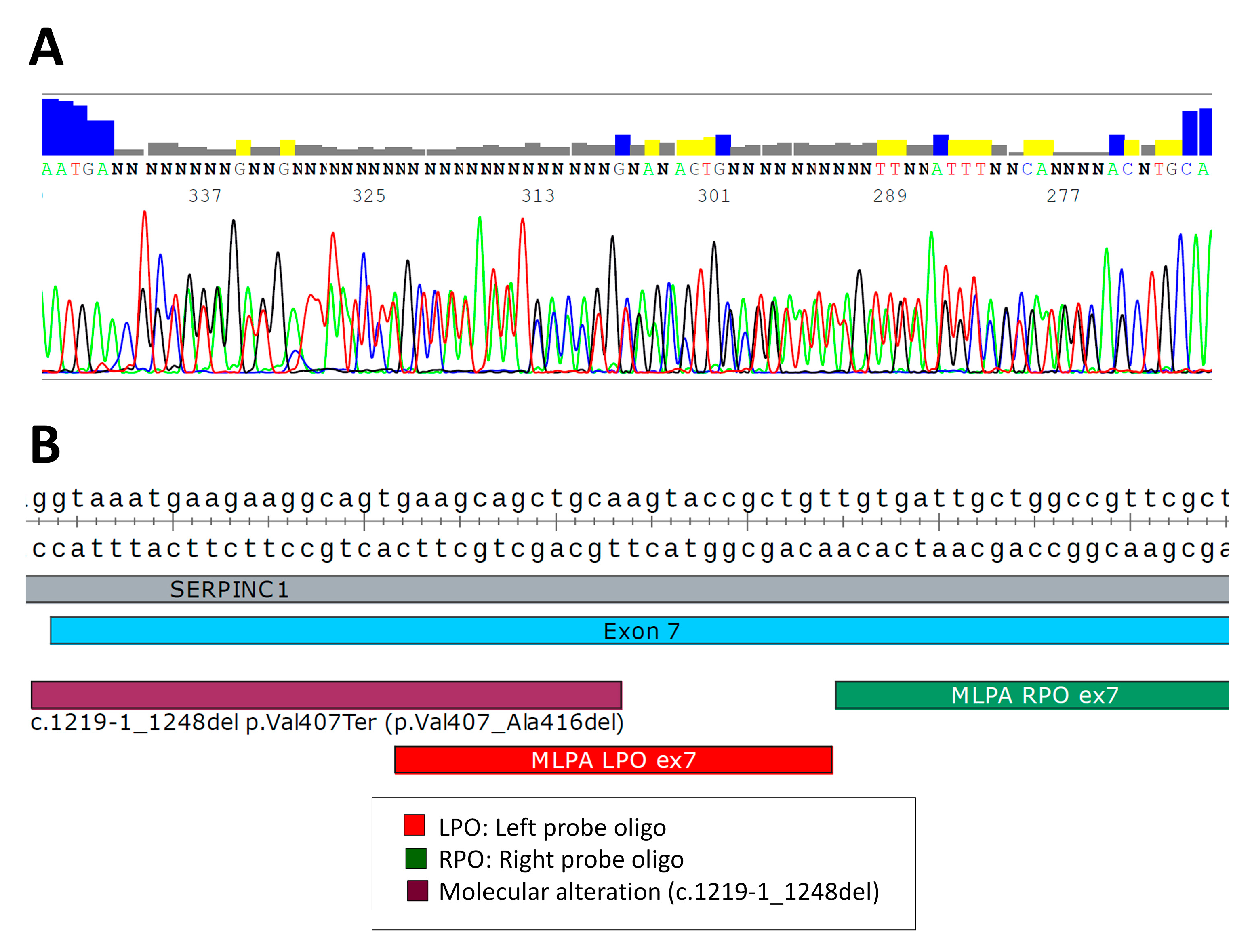 Ijms 24 05023 g004 Ijms 24 05023 g004