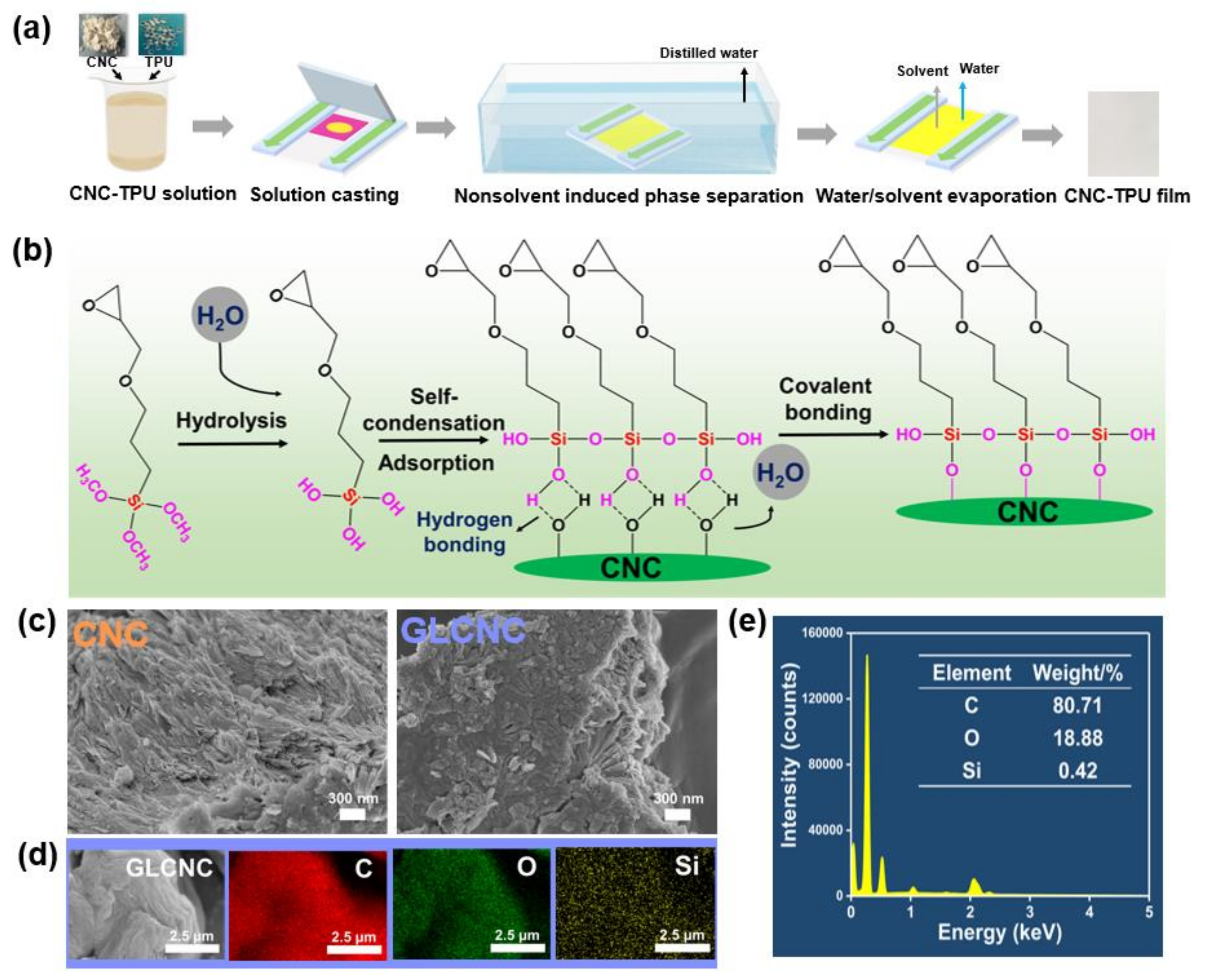 Ijms 24 05036 g001 Ijms 24 05036 g001