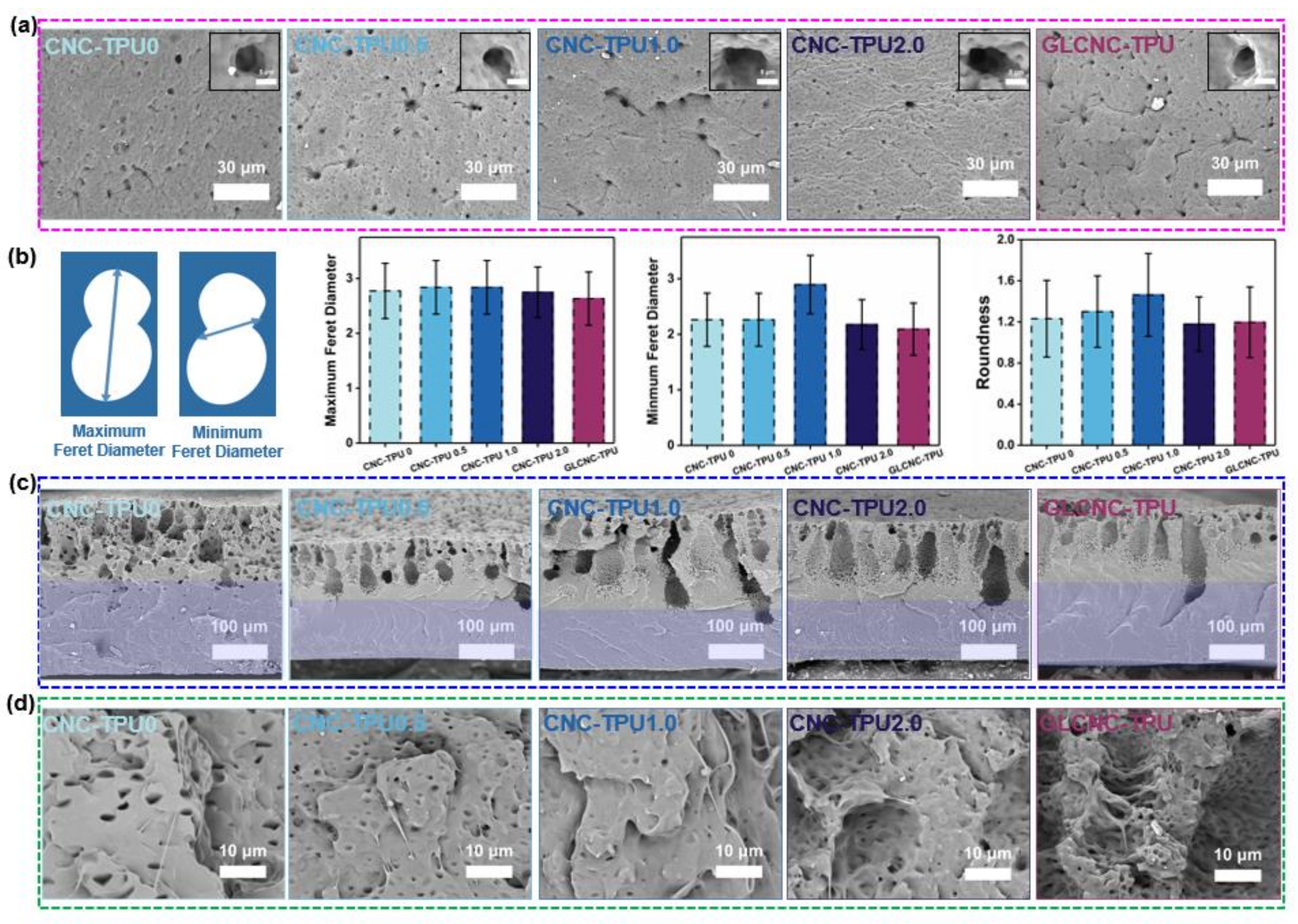 Ijms 24 05036 g009 Ijms 24 05036 g009