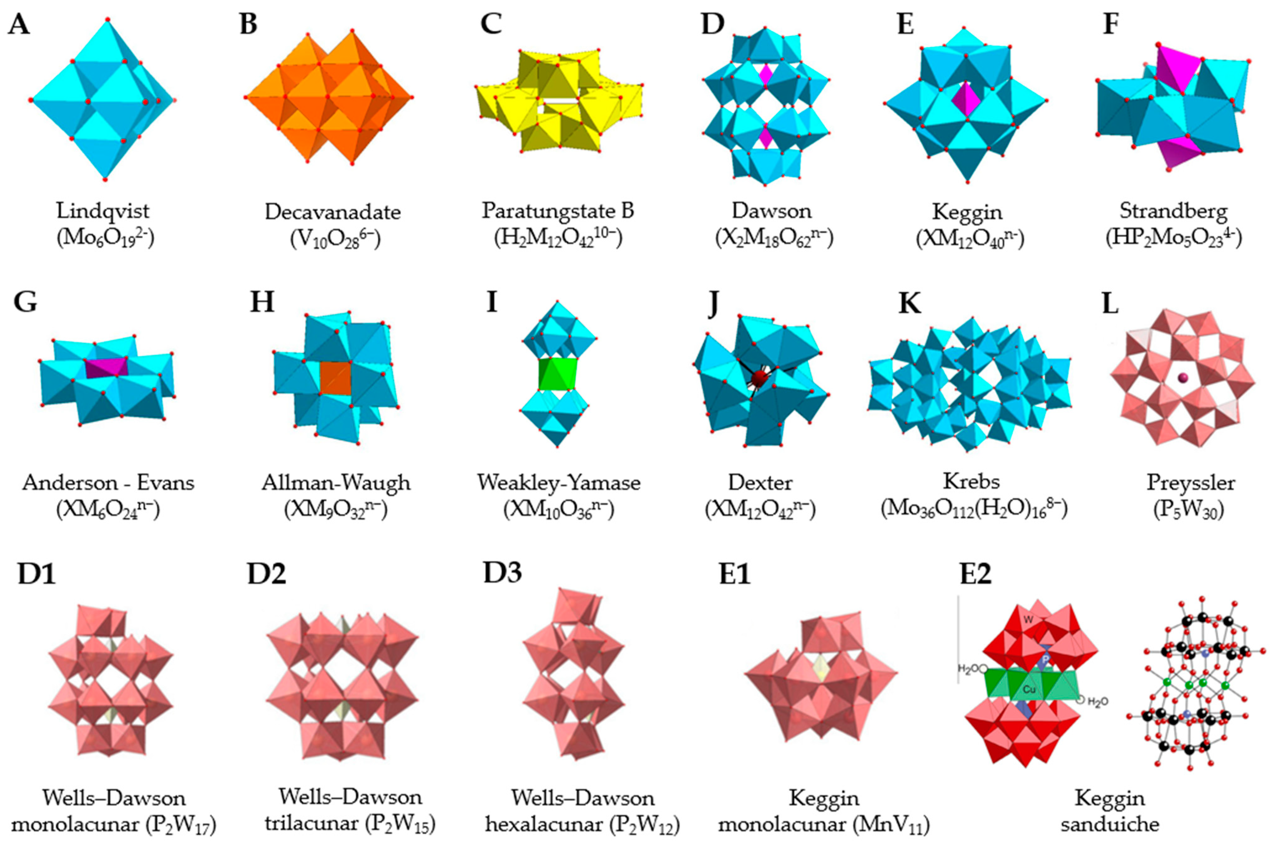 Ijms 24 05043 g001 Ijms 24 05043 g001