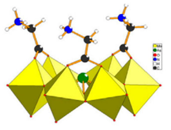 Ijms 24 05043 i005 Ijms 24 05043 i005