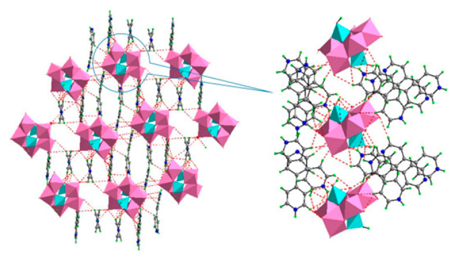 Ijms 24 05043 i006 Ijms 24 05043 i006