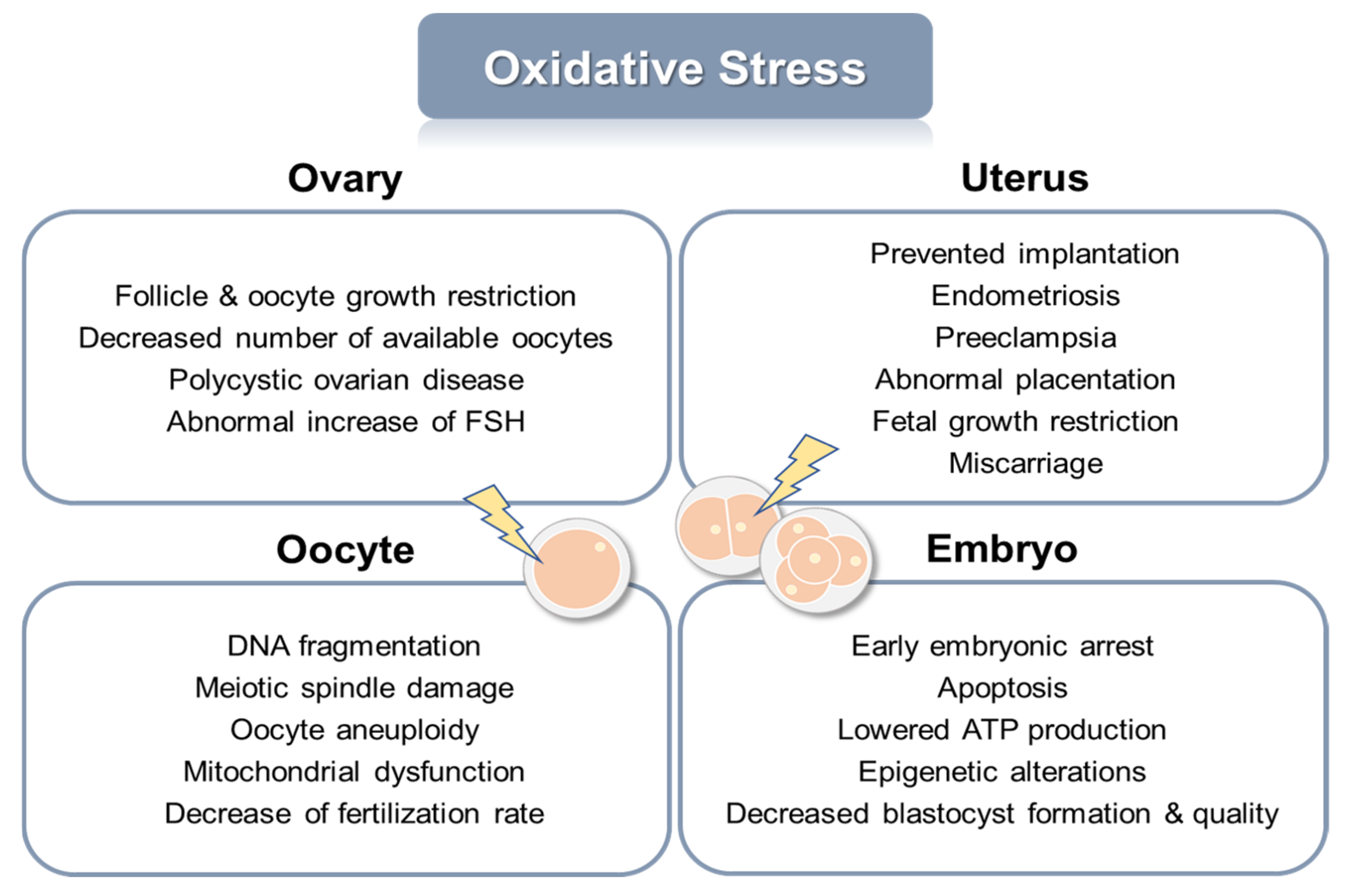 Ijms 24 05053 g001 Ijms 24 05053 g001