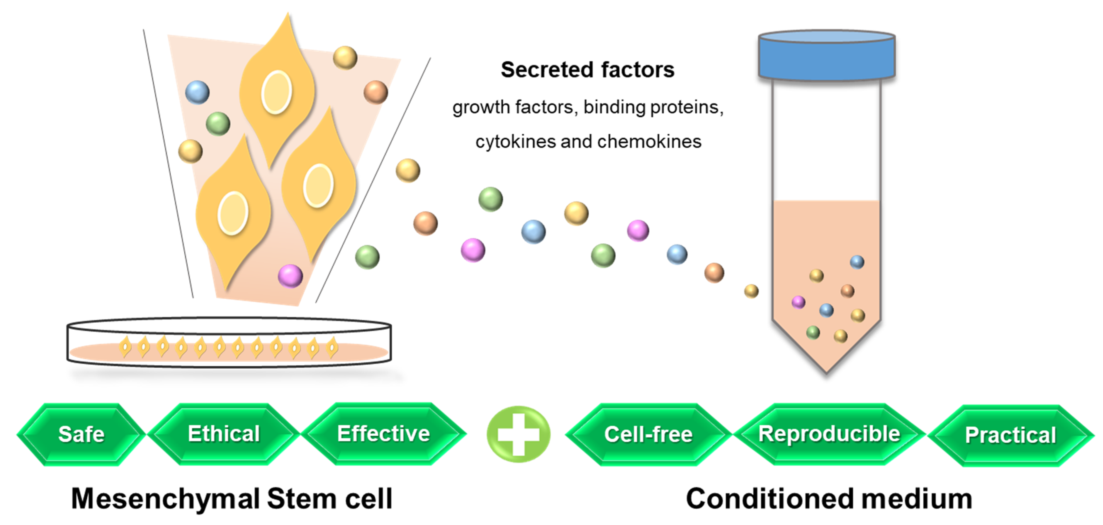 Ijms 24 05053 g002 Ijms 24 05053 g002