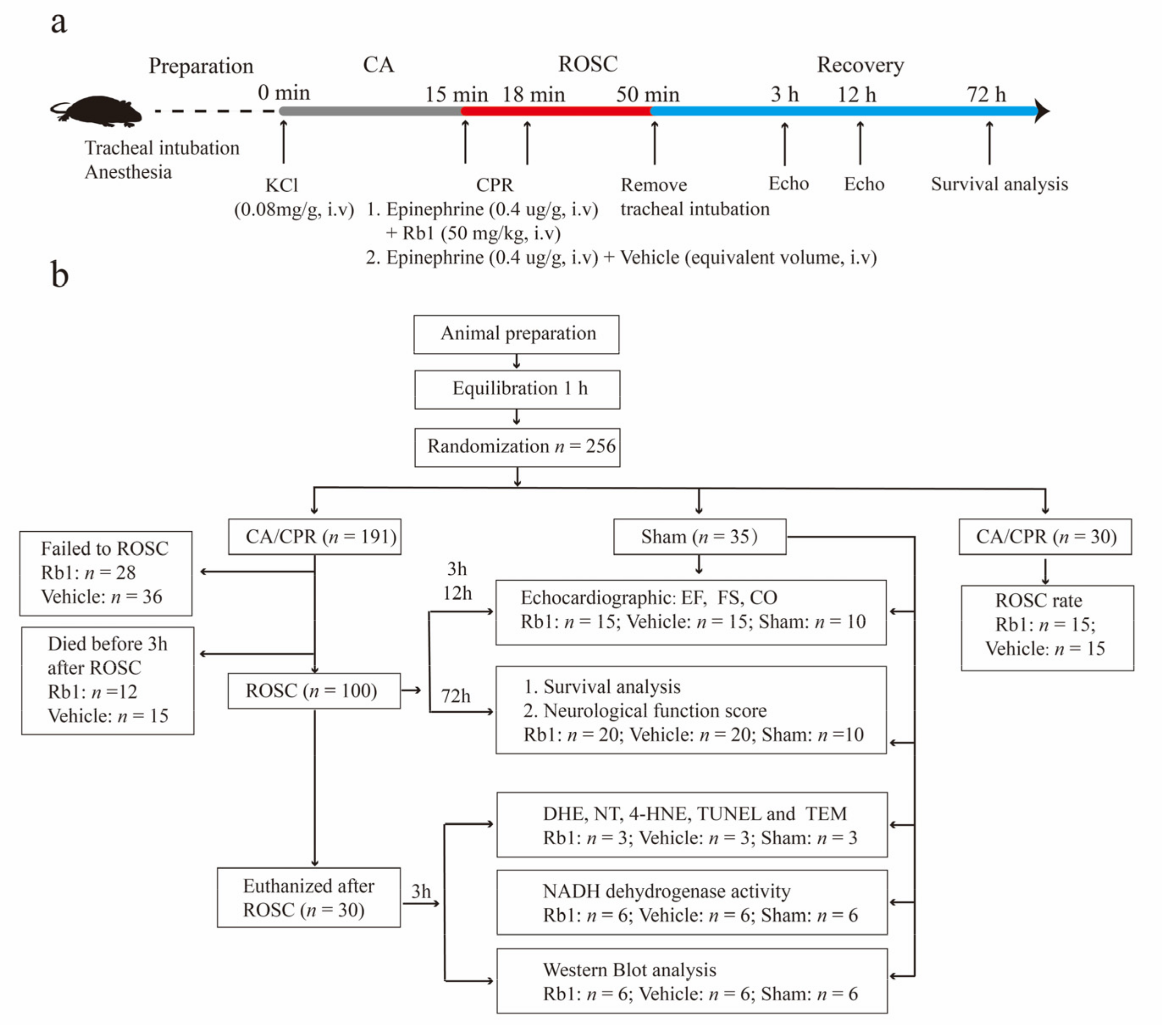 Ijms 24 05059 g001 Ijms 24 05059 g001