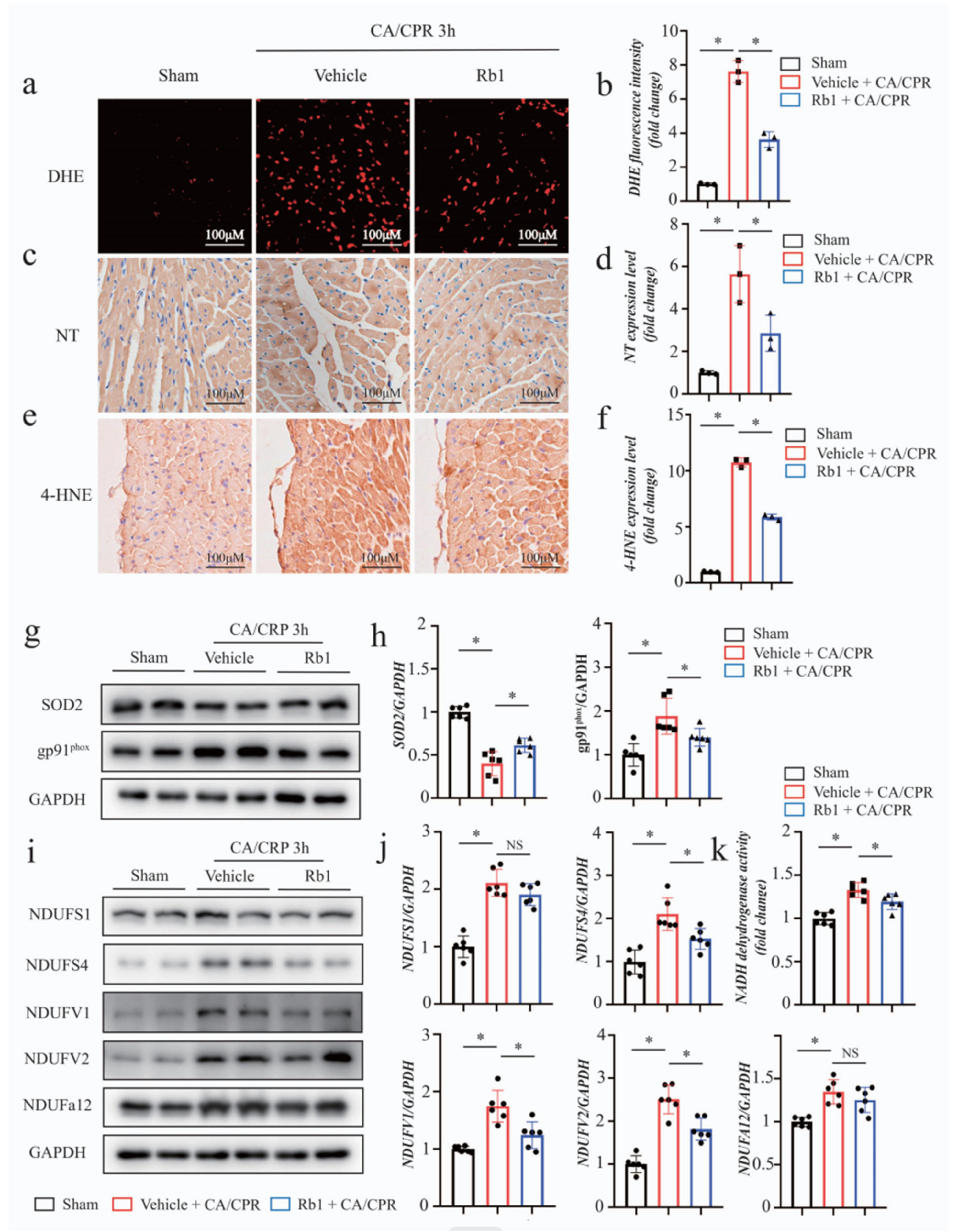 Ijms 24 05059 g003 Ijms 24 05059 g003