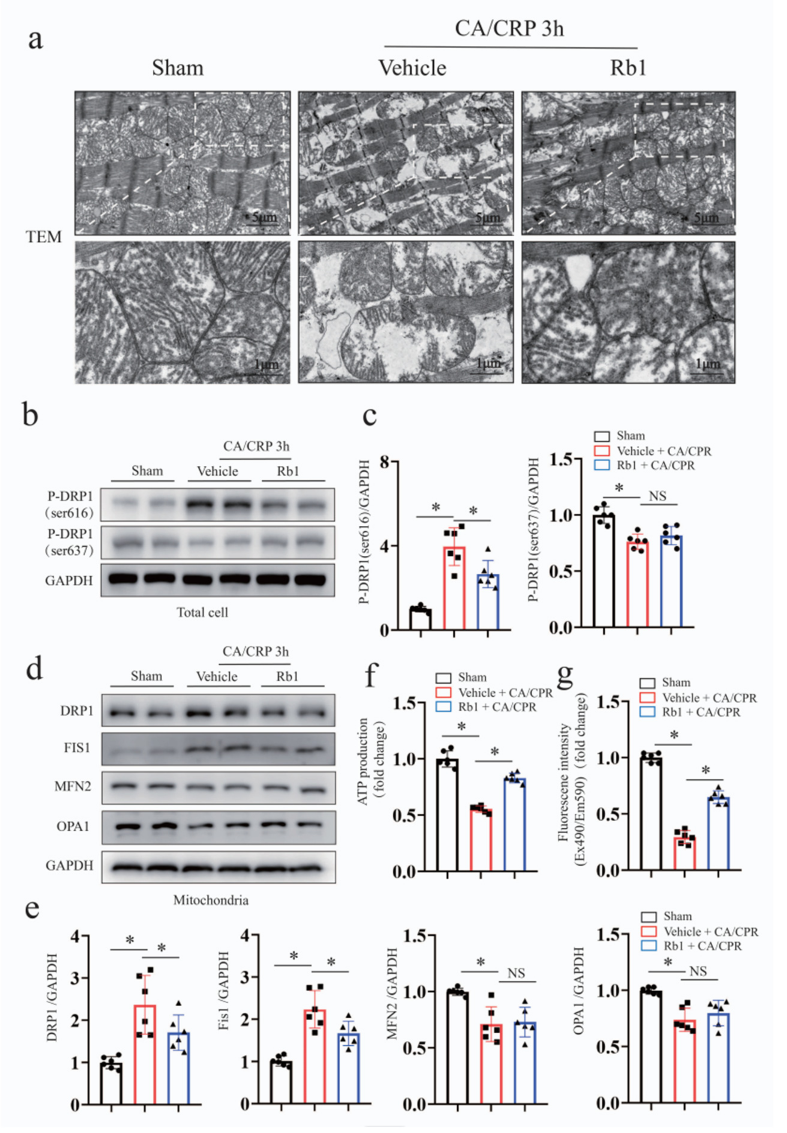 Ijms 24 05059 g004 Ijms 24 05059 g004