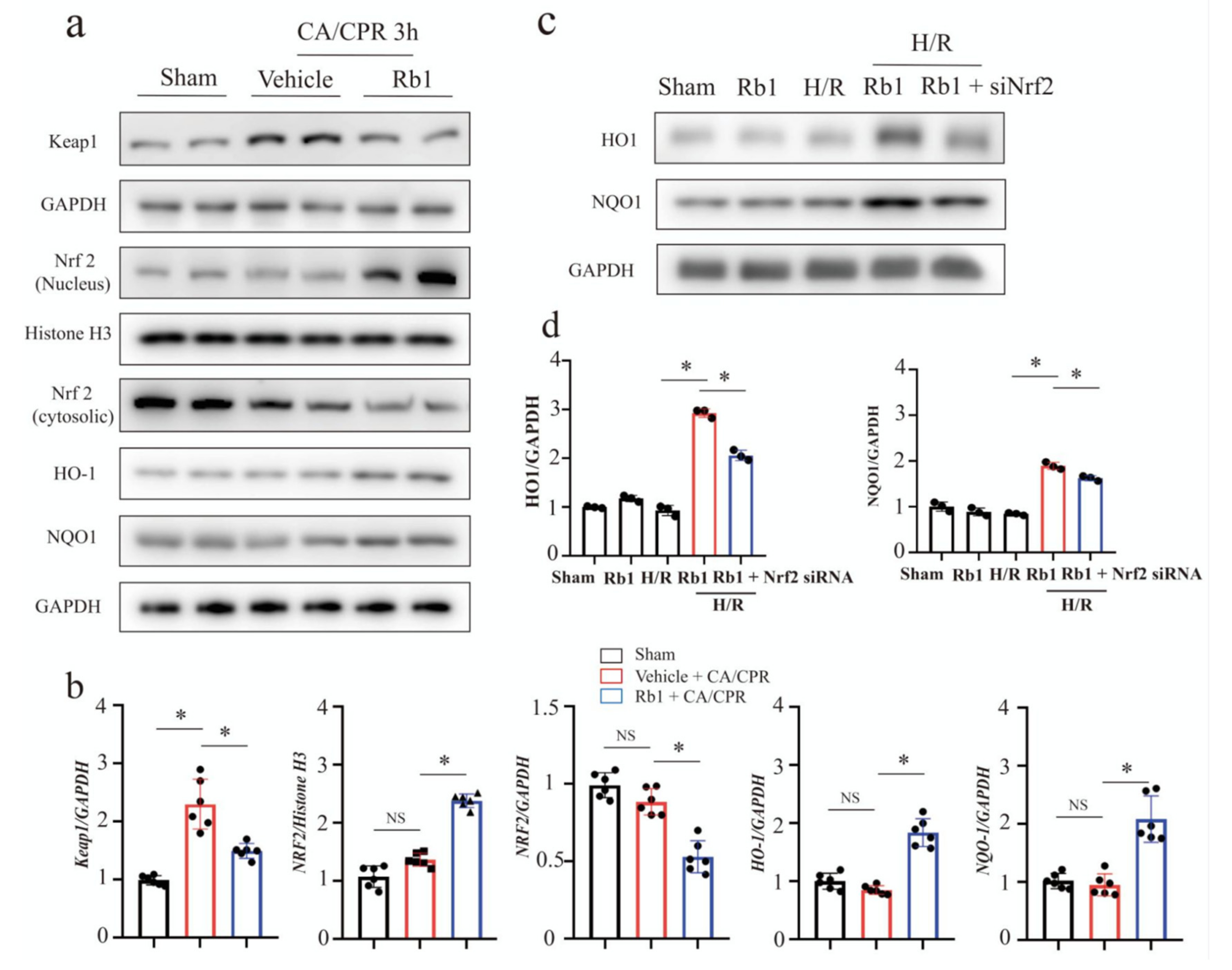 Ijms 24 05059 g005 Ijms 24 05059 g005