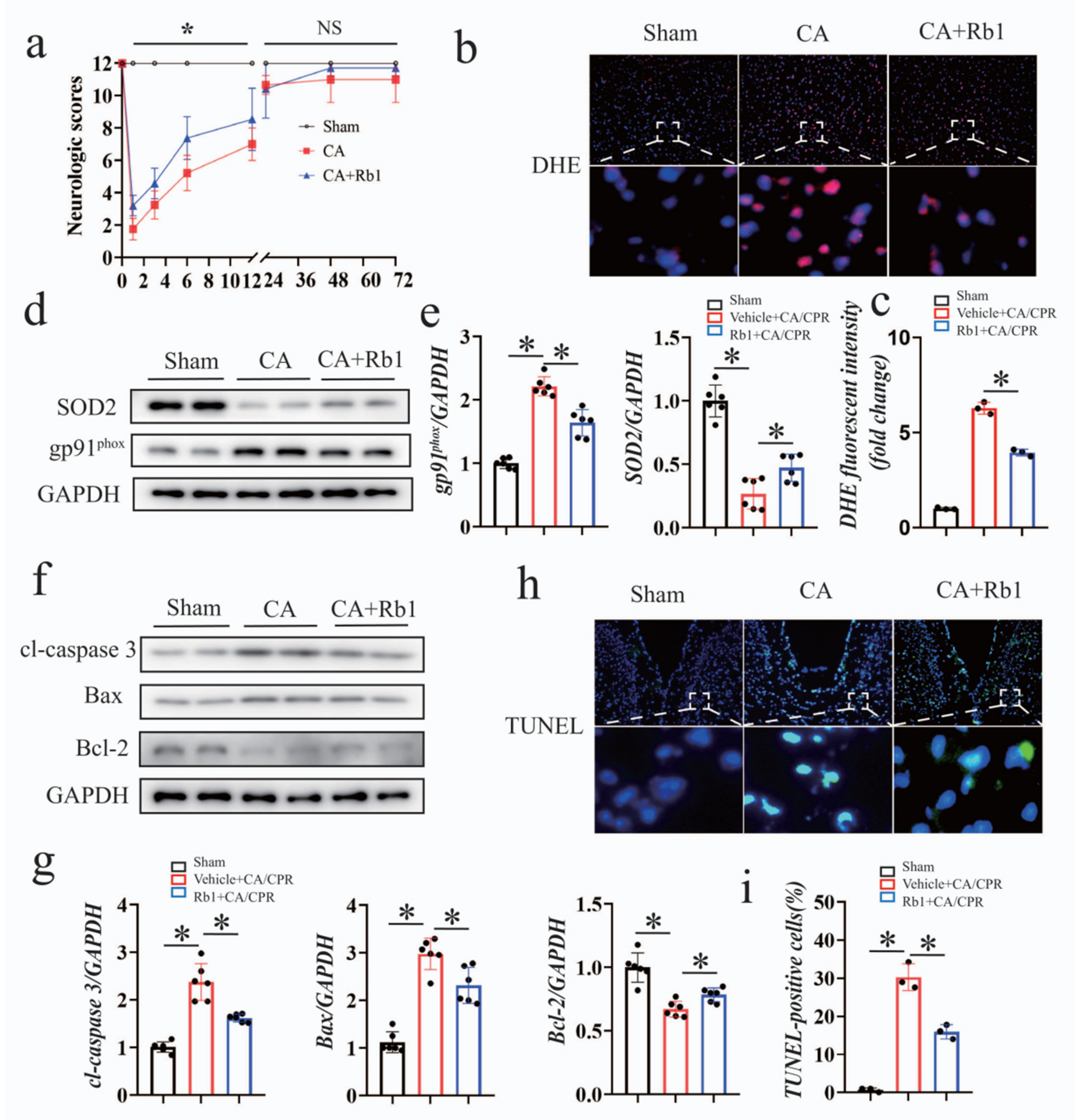 Ijms 24 05059 g008 Ijms 24 05059 g008
