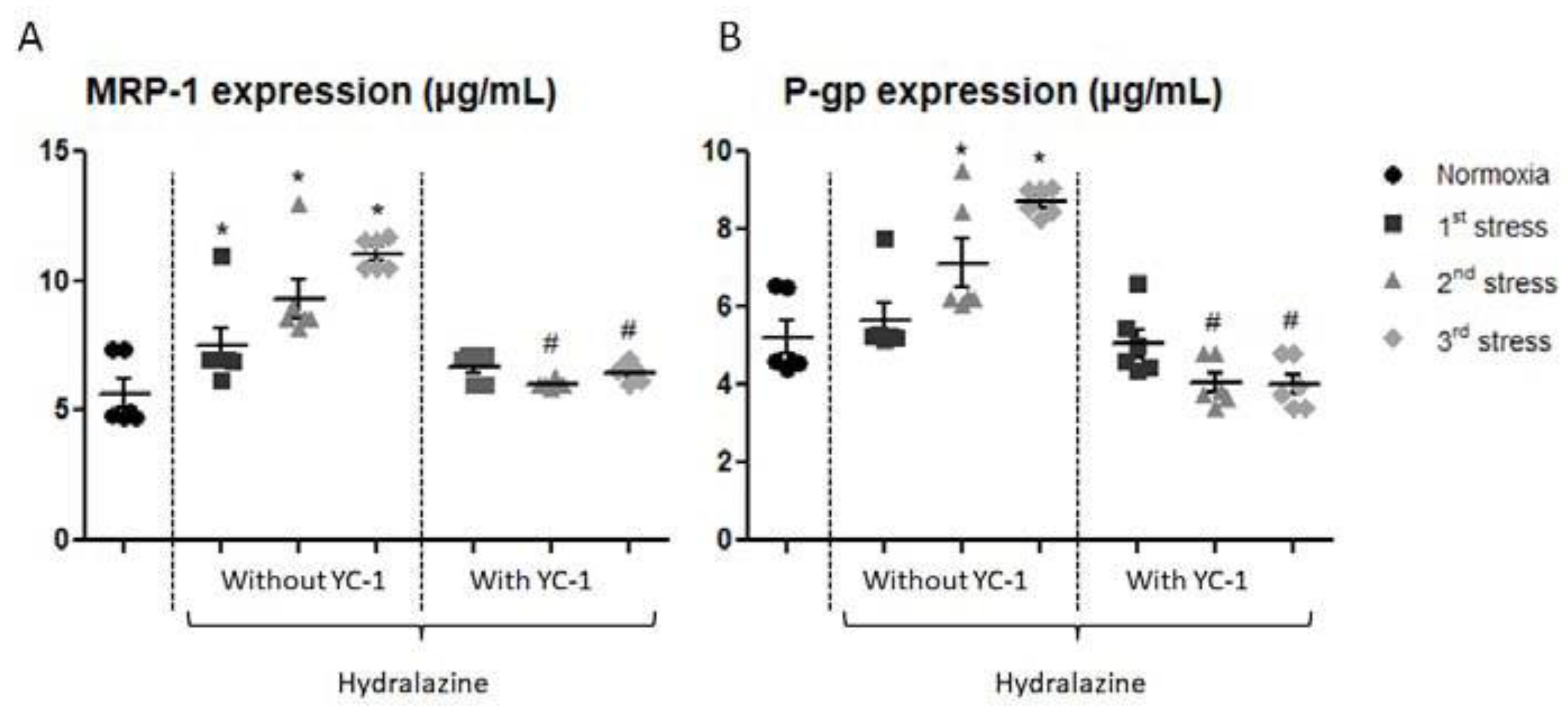 Ijms 24 05062 g004 Ijms 24 05062 g004
