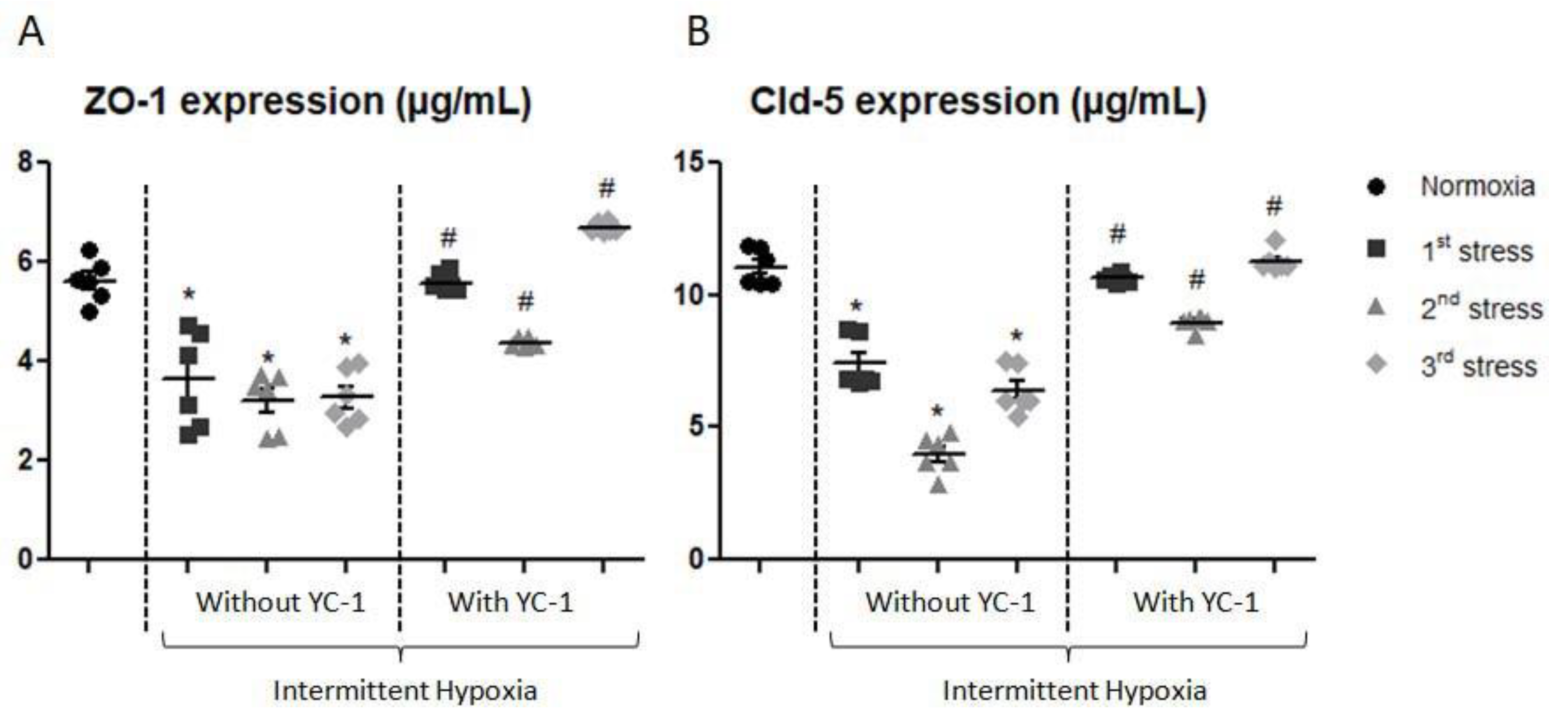 Ijms 24 05062 g006 Ijms 24 05062 g006