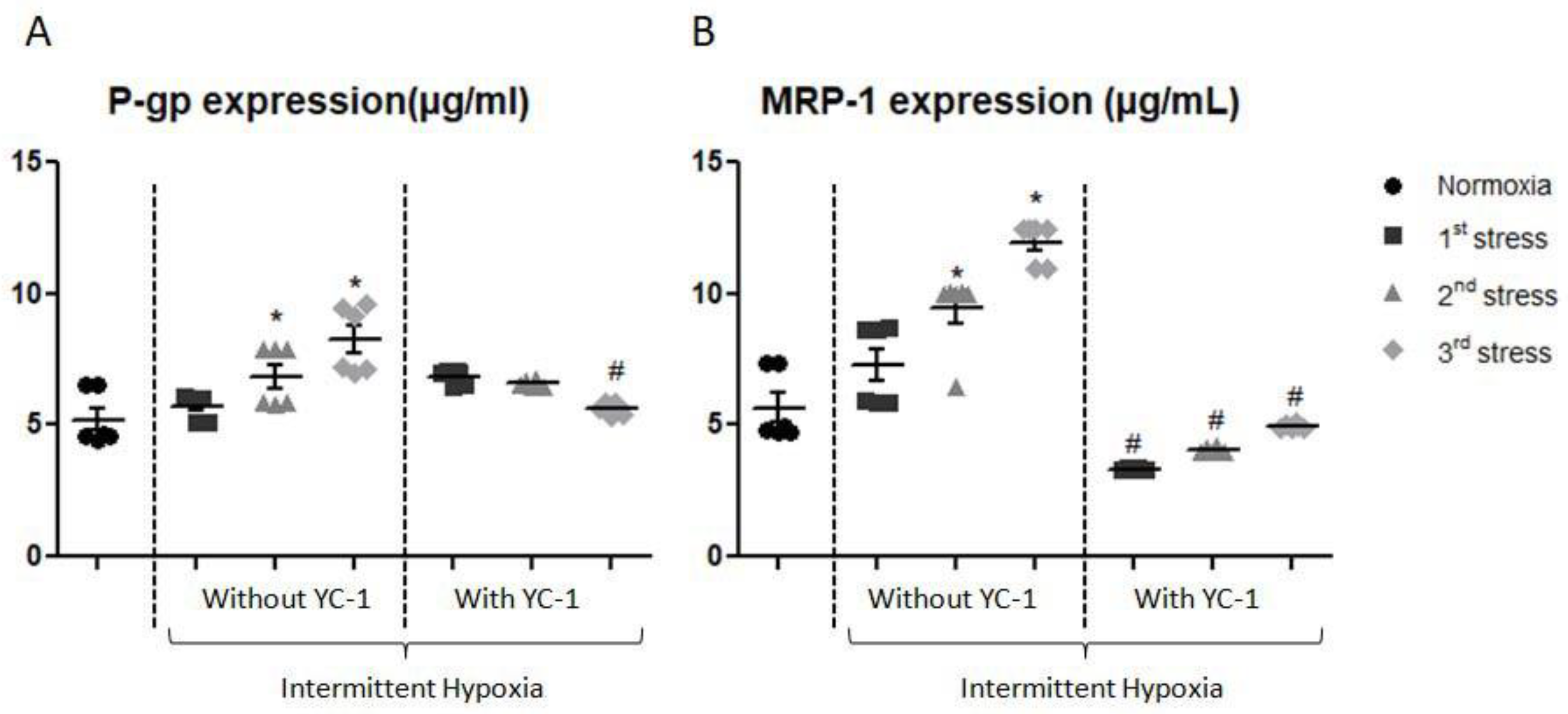 Ijms 24 05062 g007 Ijms 24 05062 g007