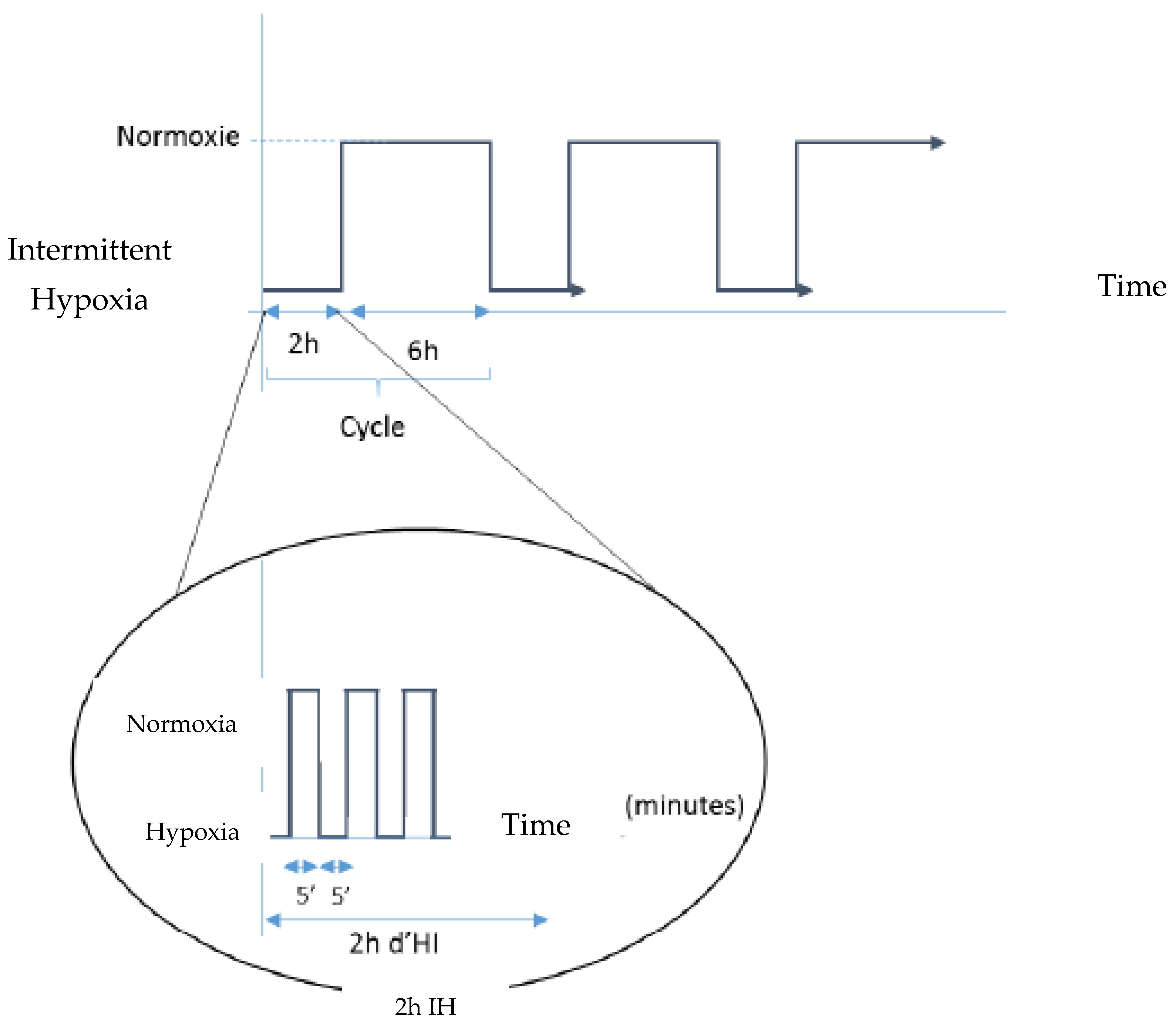 Ijms 24 05062 g008 Ijms 24 05062 g008