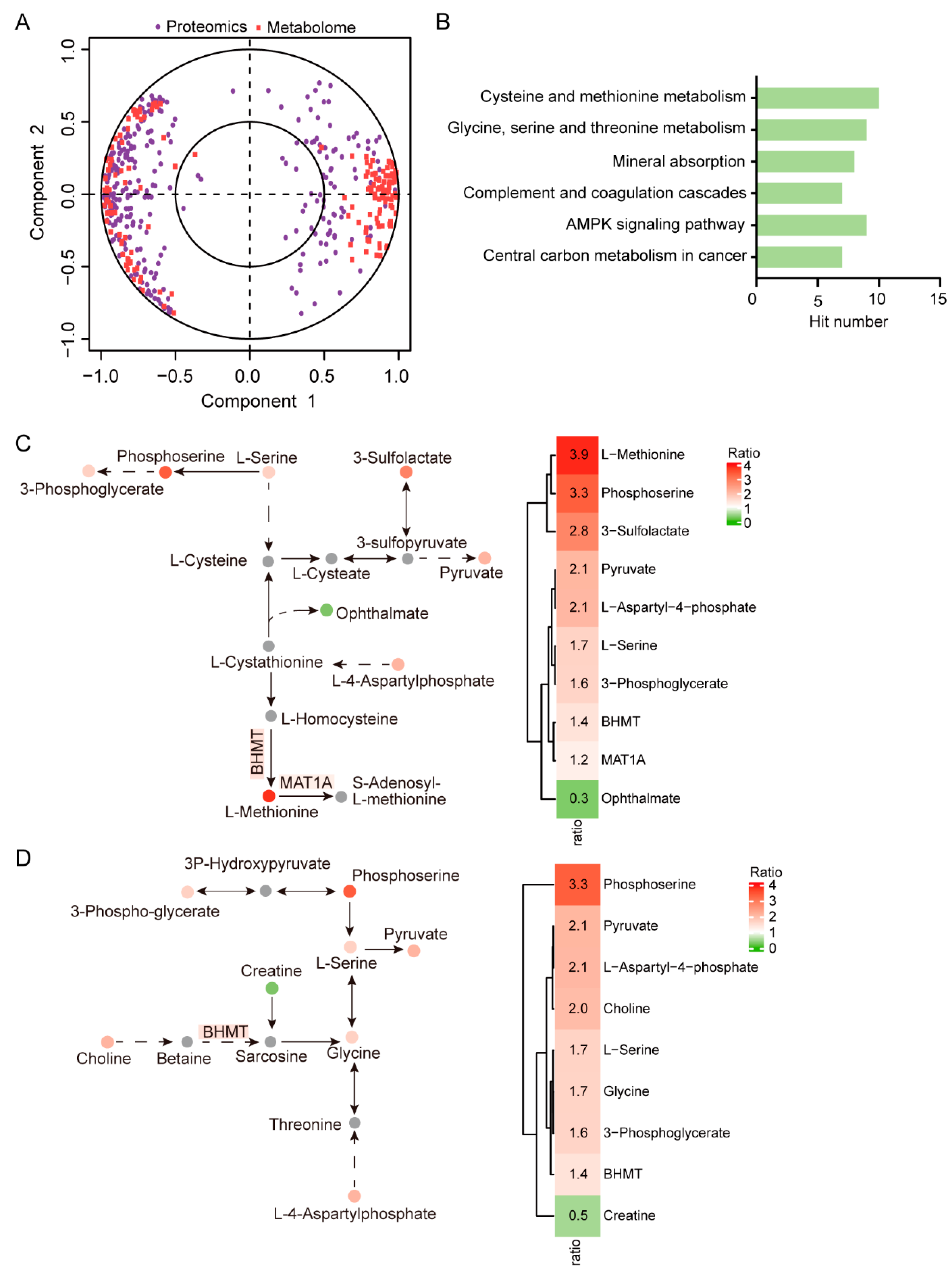 Ijms 24 05071 g003 Ijms 24 05071 g003