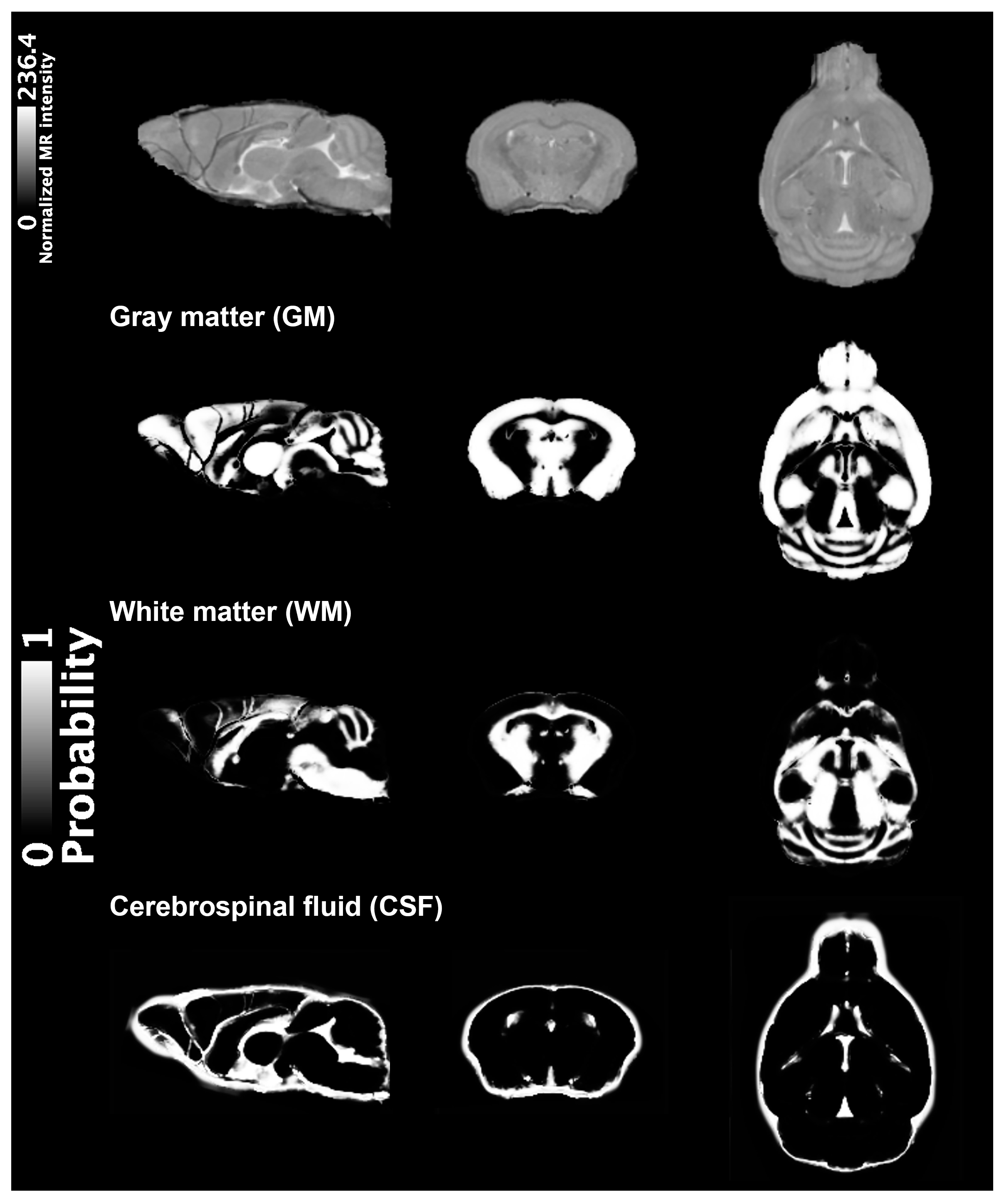 Ijms 24 05073 g001 Ijms 24 05073 g001