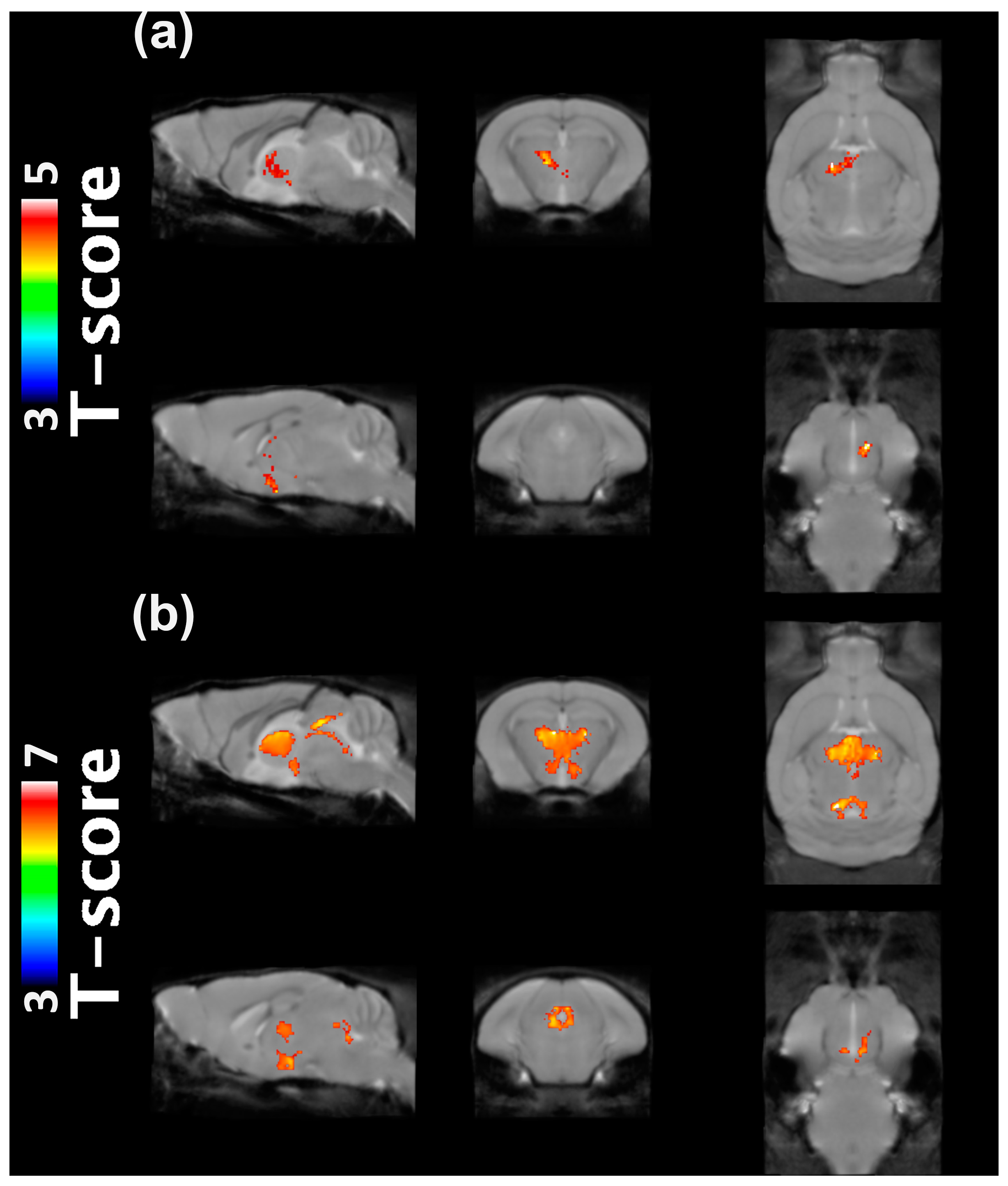 Ijms 24 05073 g002 Ijms 24 05073 g002