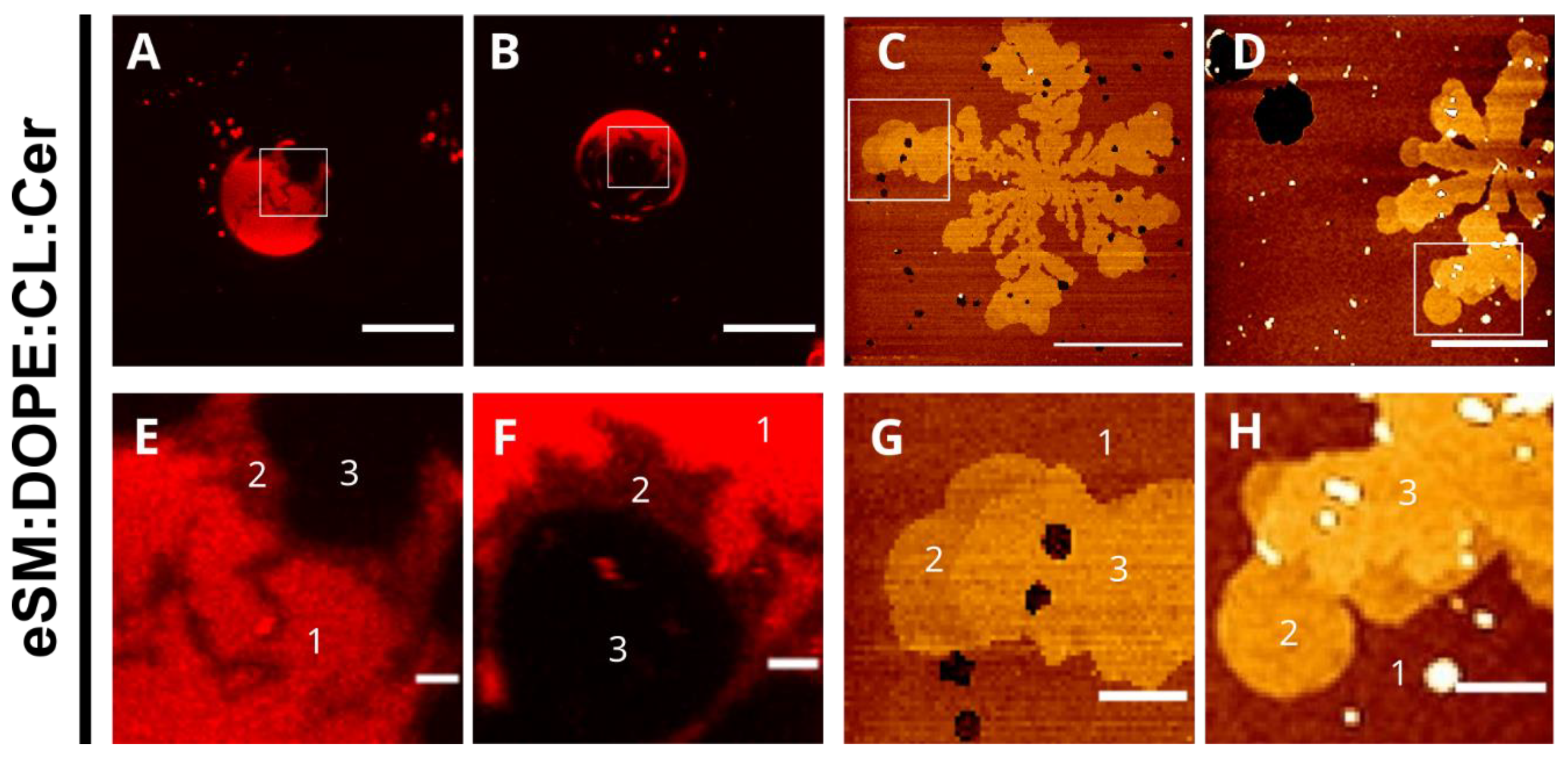 Ijms 24 05080 g003 Ijms 24 05080 g003