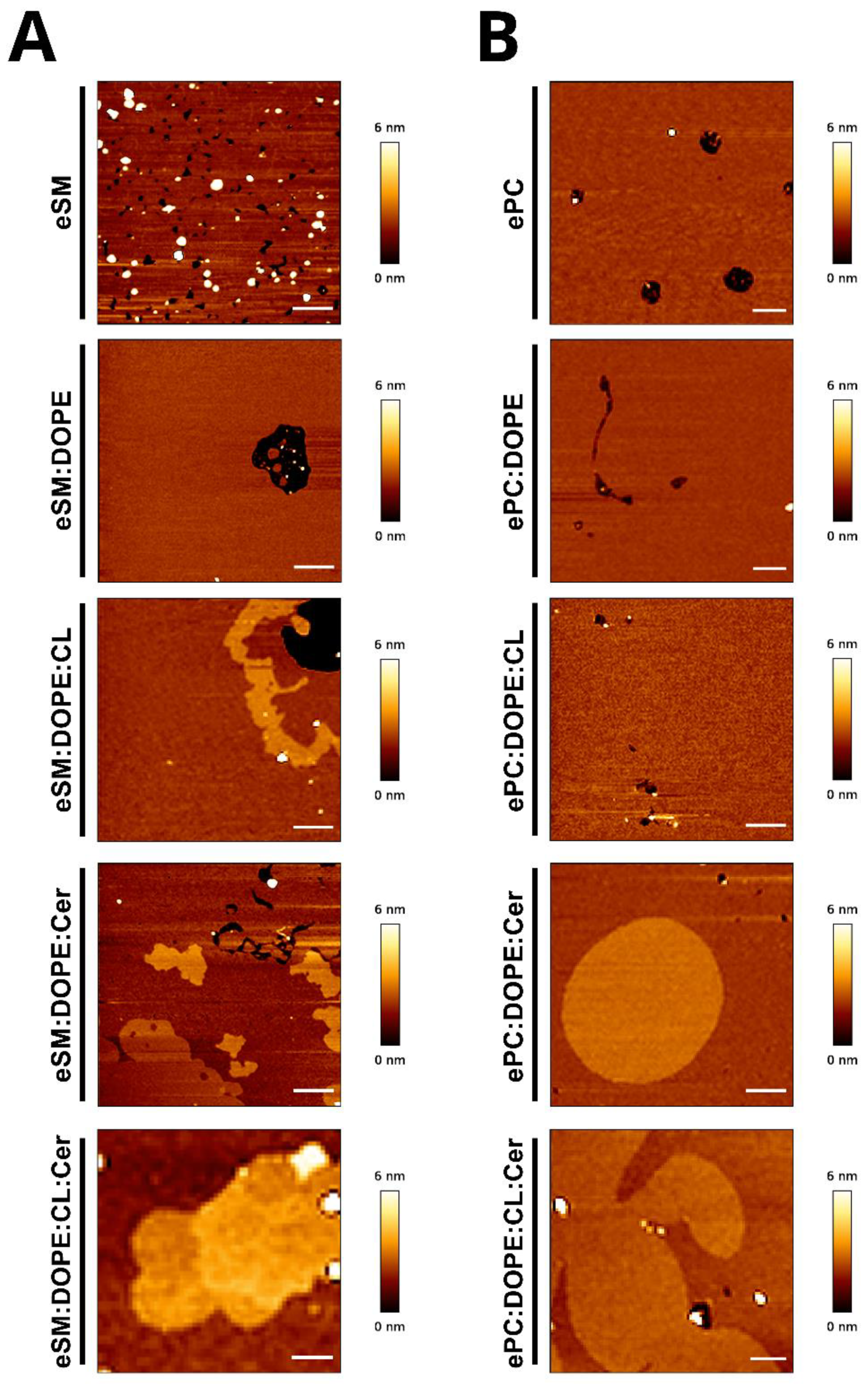 Ijms 24 05080 g004 Ijms 24 05080 g004