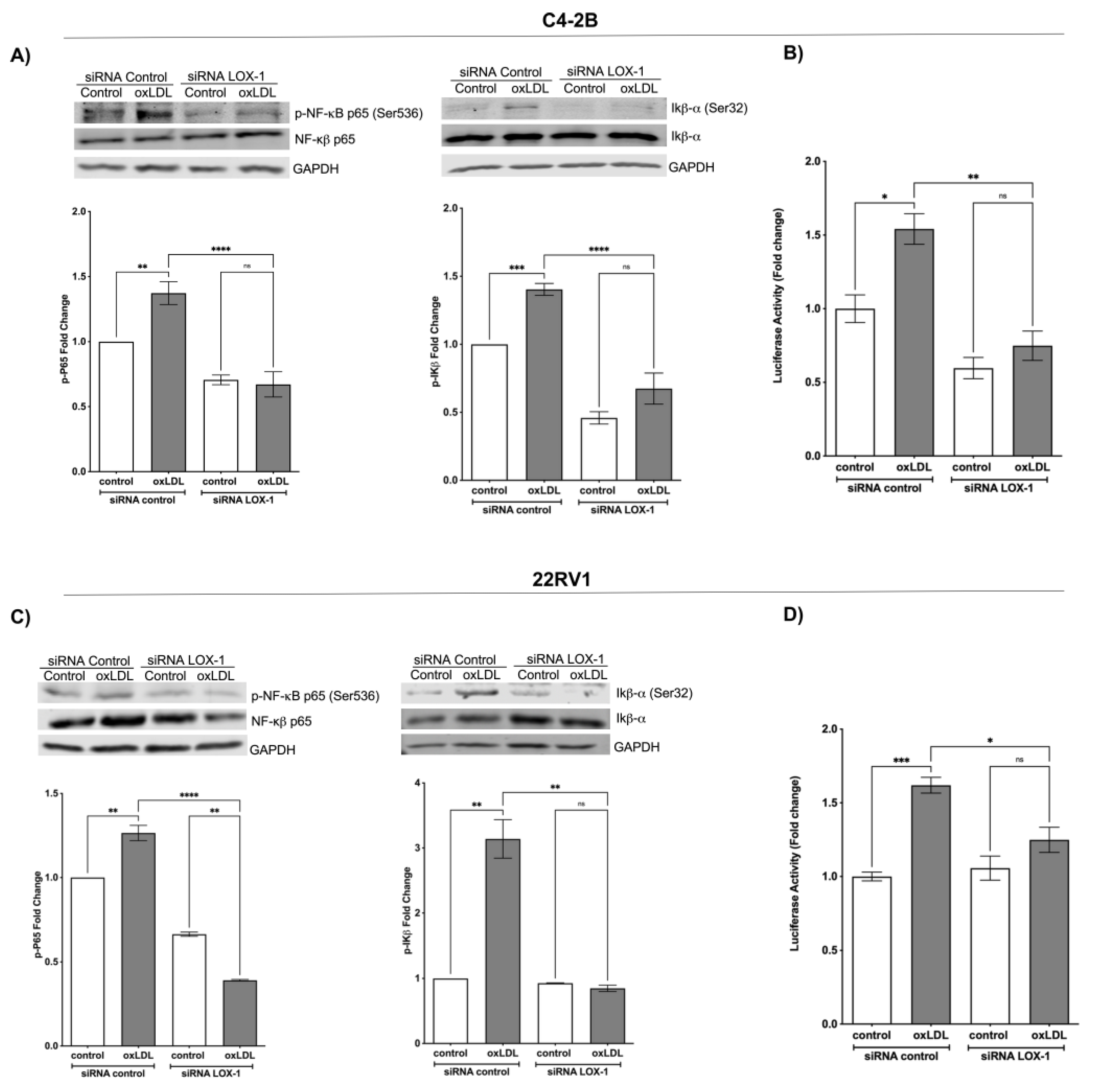 Ijms 24 05082 g002 Ijms 24 05082 g002