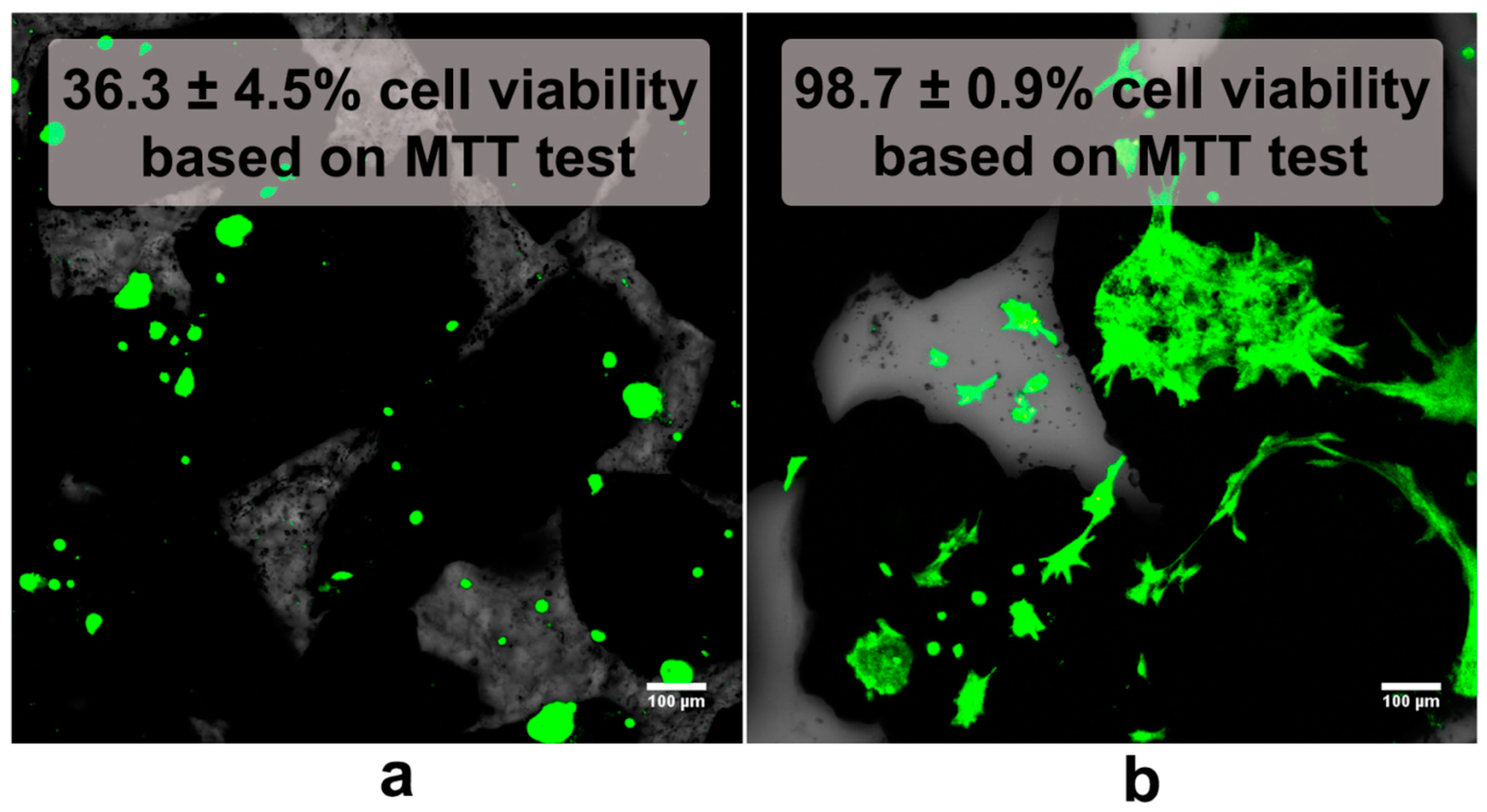 Ijms 24 05083 g004 Ijms 24 05083 g004
