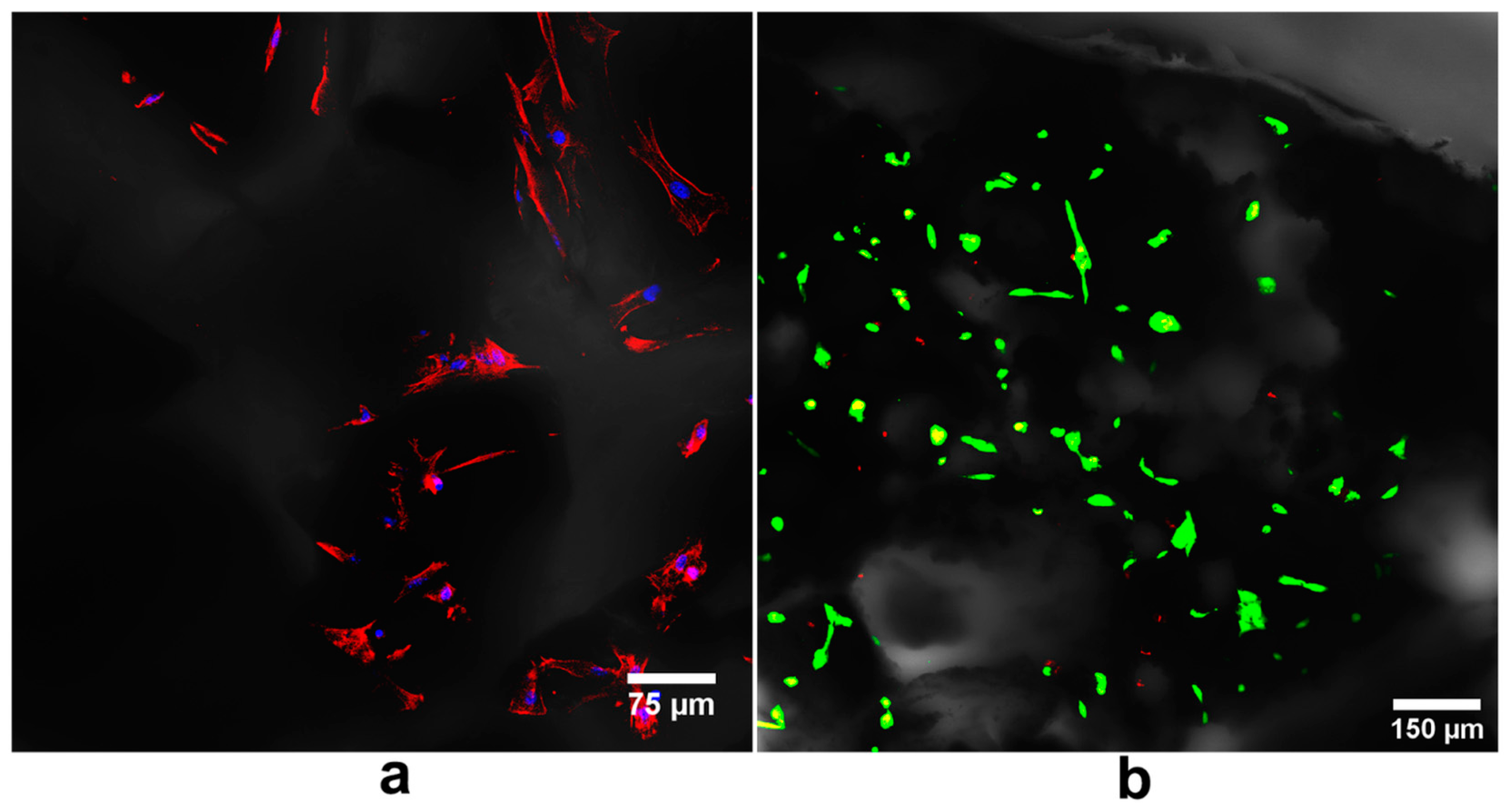Ijms 24 05083 g005 Ijms 24 05083 g005