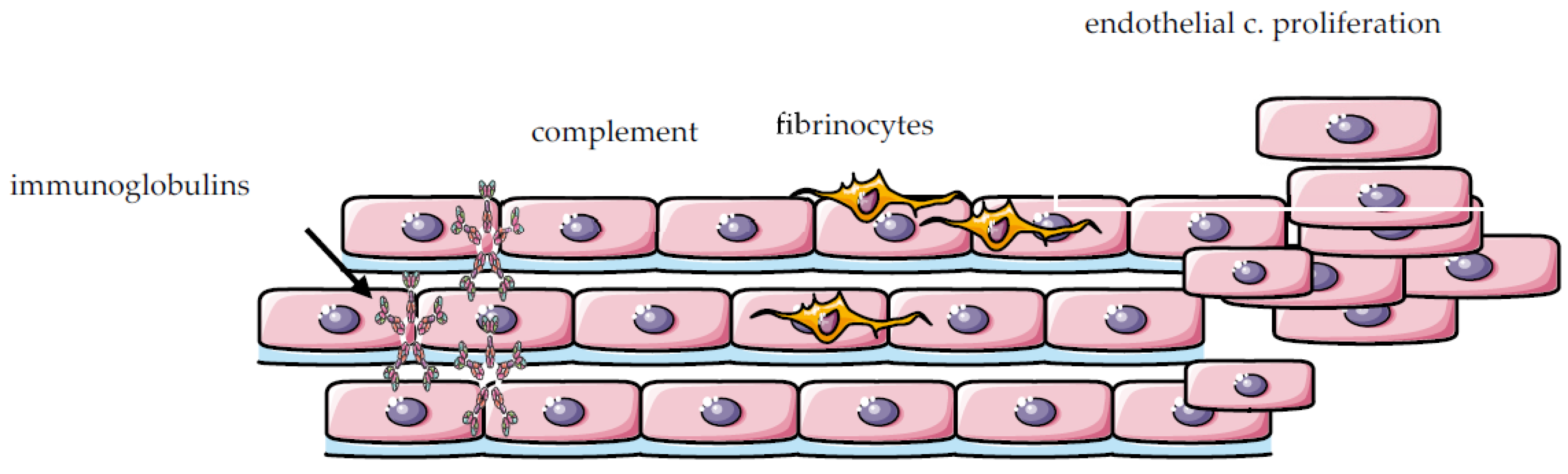 Ijms 24 05085 g002 Ijms 24 05085 g002