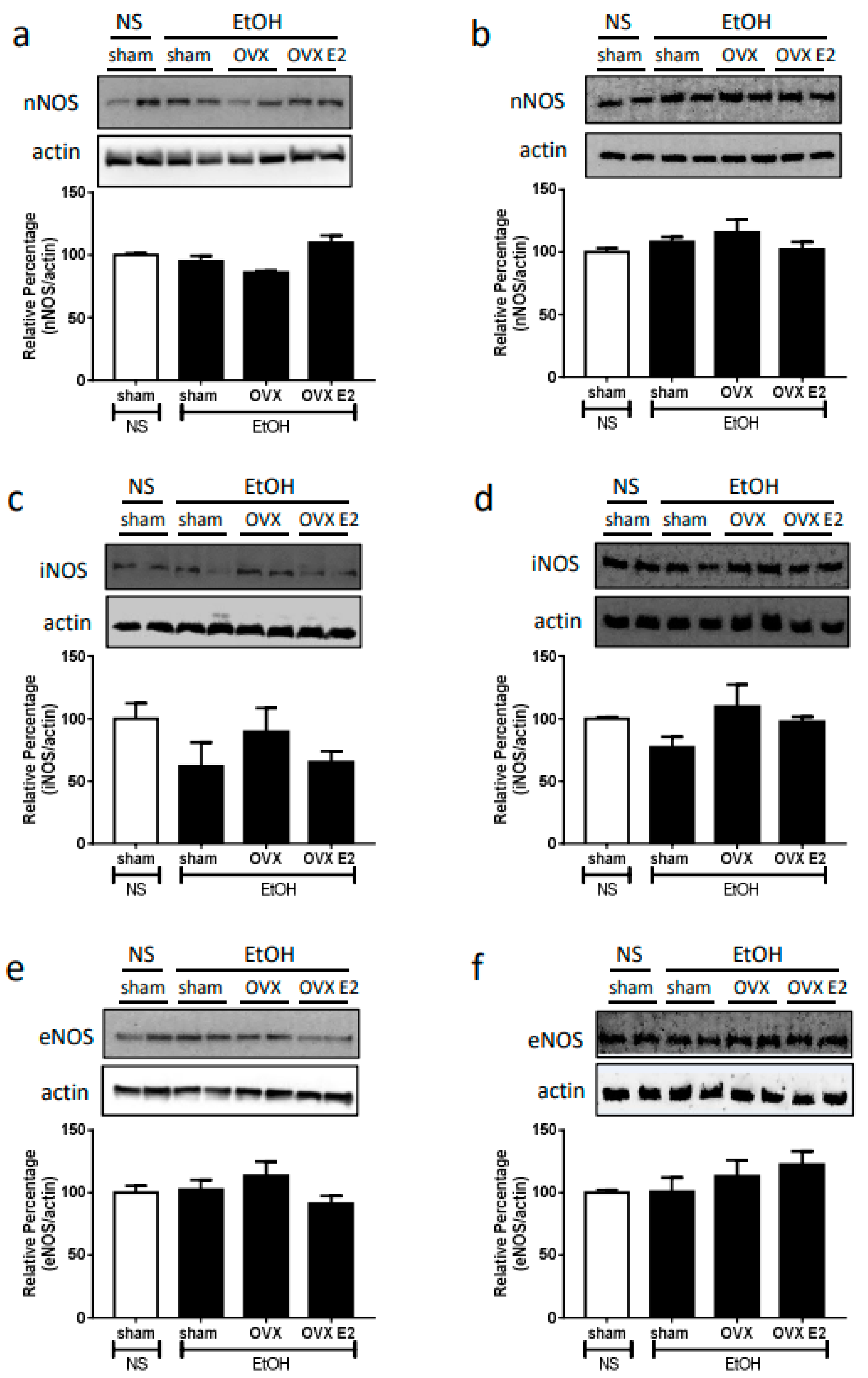 Ijms 24 05087 g002 Ijms 24 05087 g002