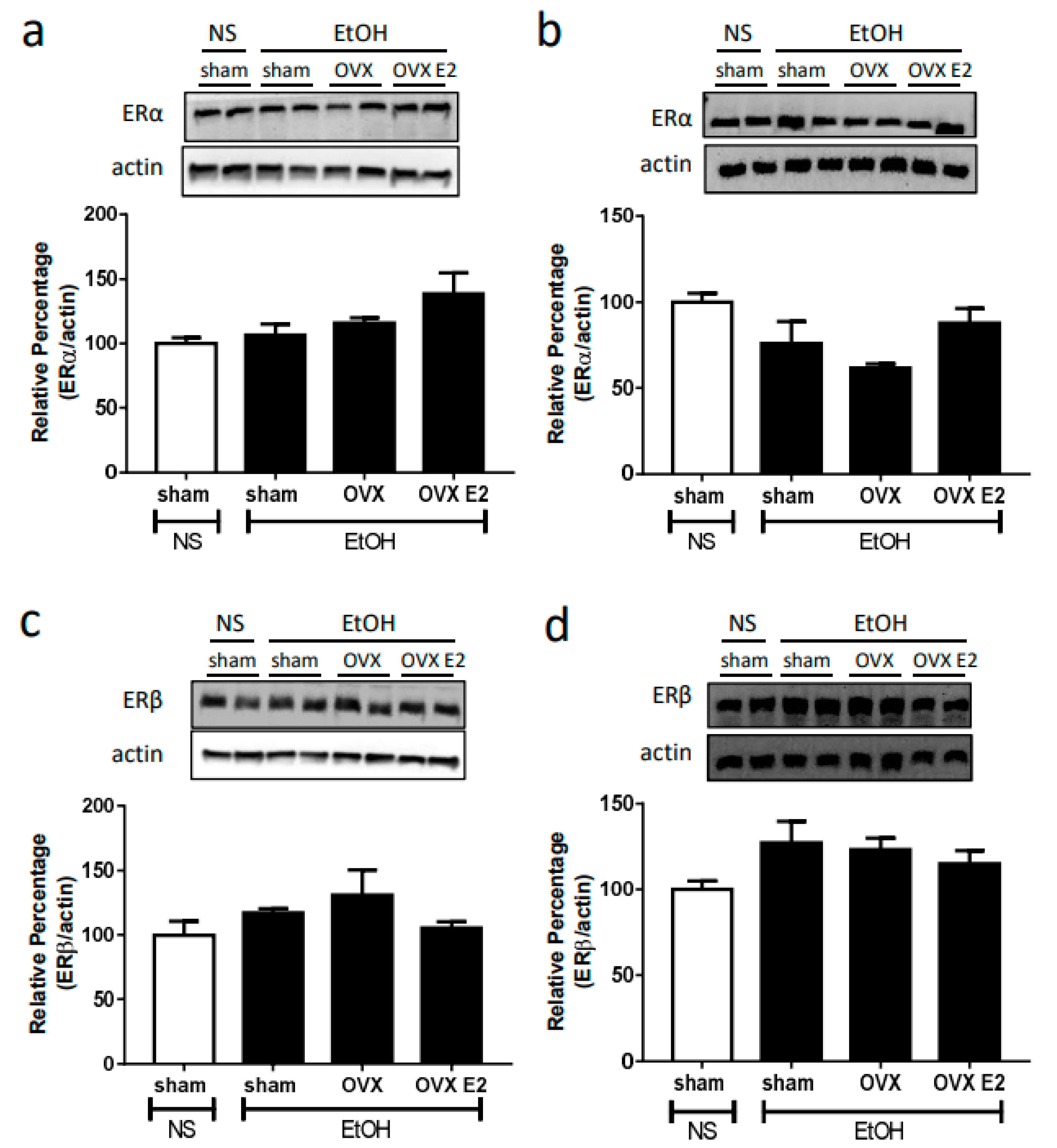 Ijms 24 05087 g003 Ijms 24 05087 g003