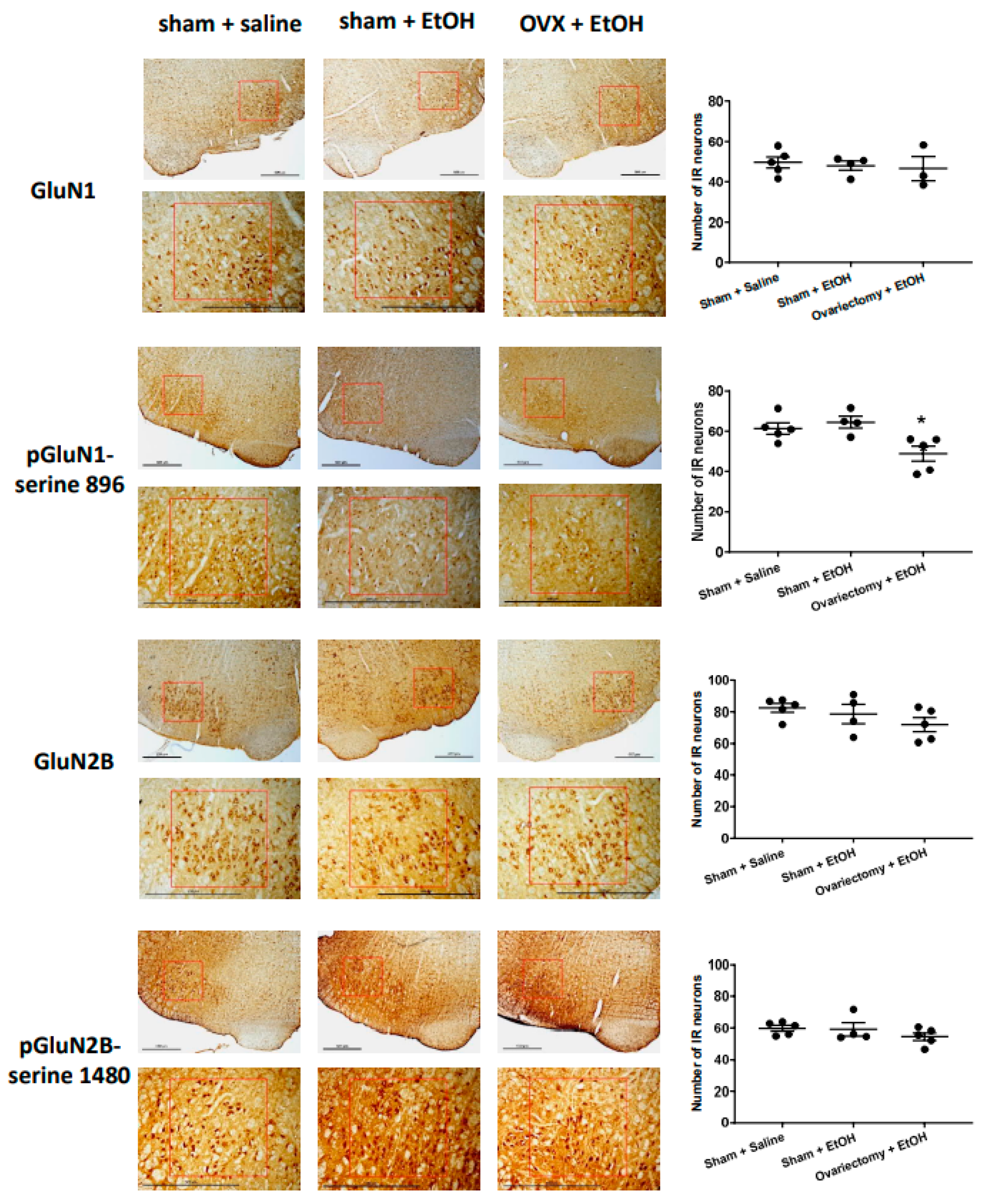 Ijms 24 05087 g005 Ijms 24 05087 g005