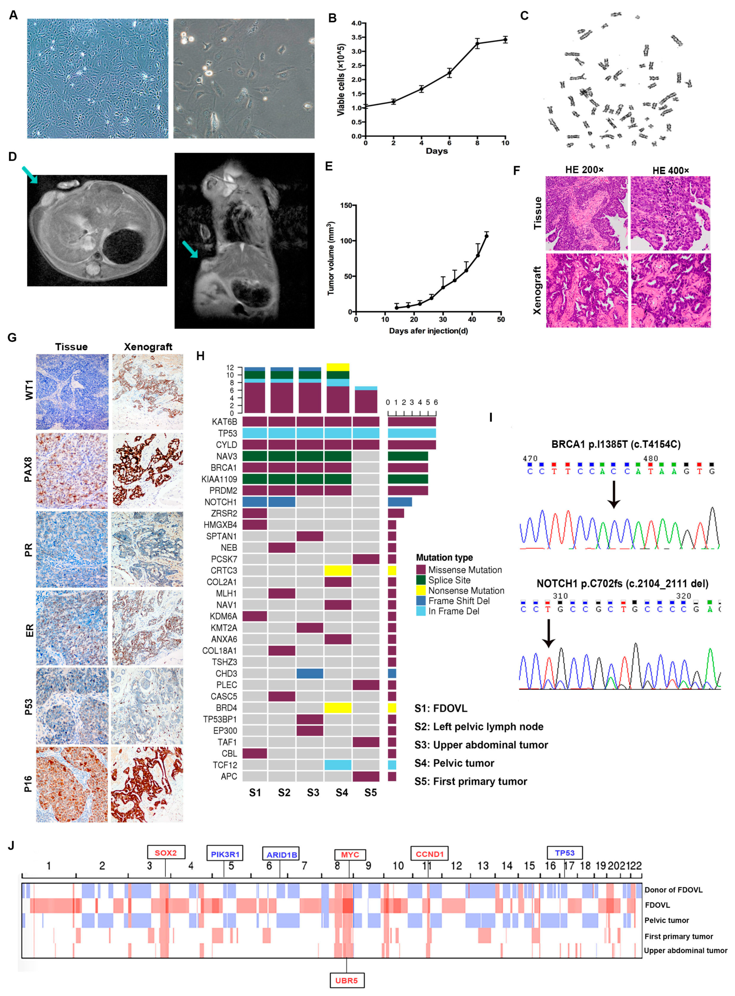 Ijms 24 05091 g001 Ijms 24 05091 g001